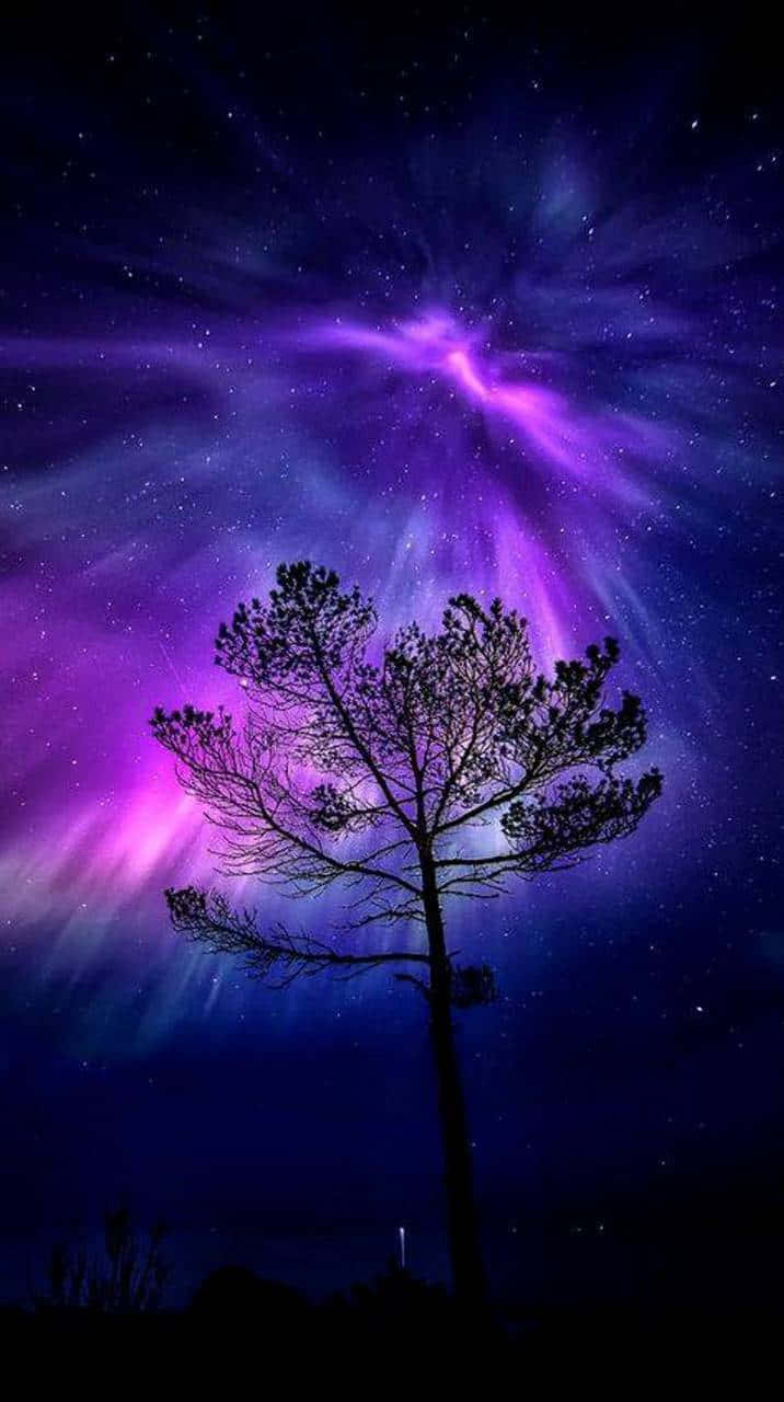 Download Magical Night Sky Aurora