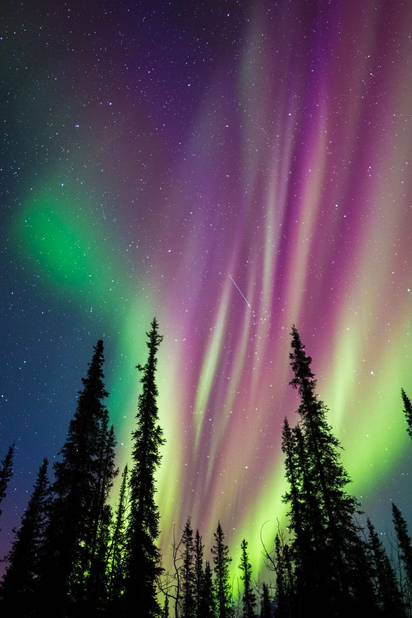 Aurora Borealis Wallpaper