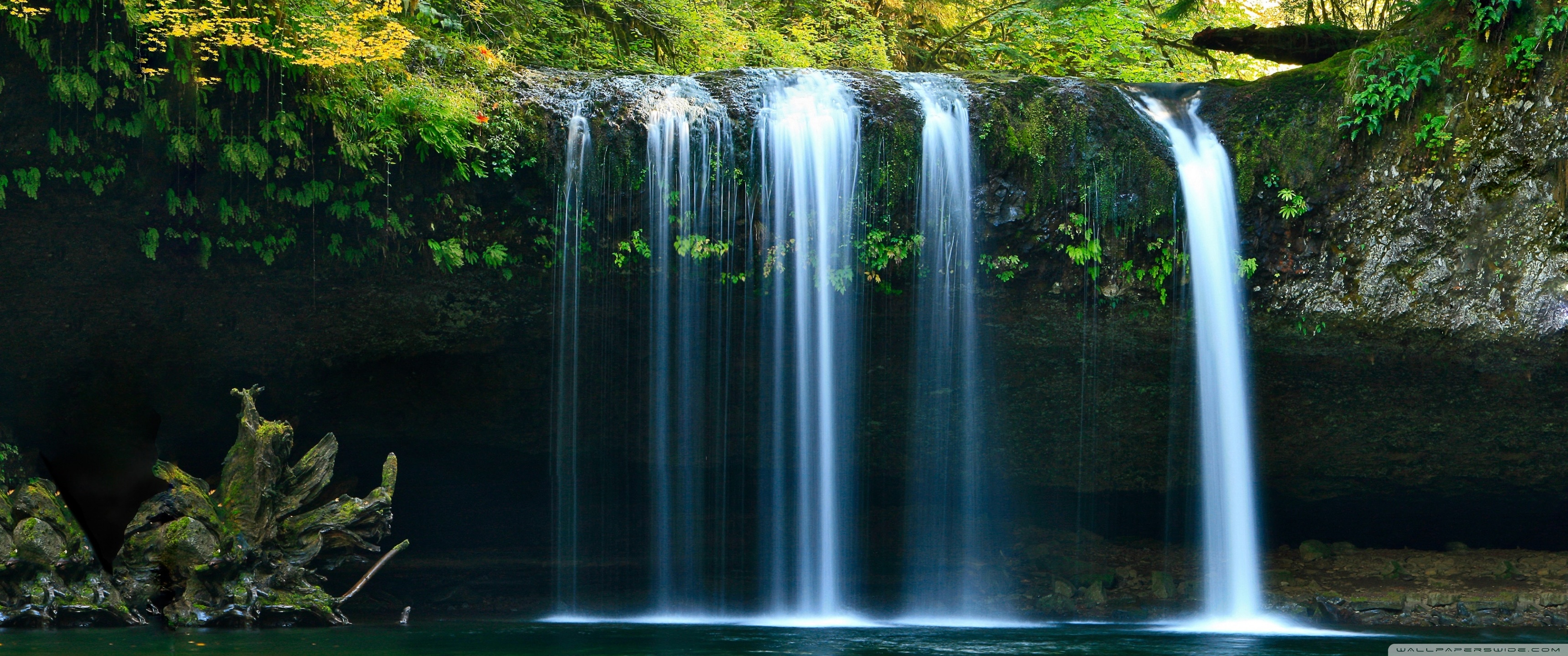 Beautiful Forest Waterfall Ultra HD