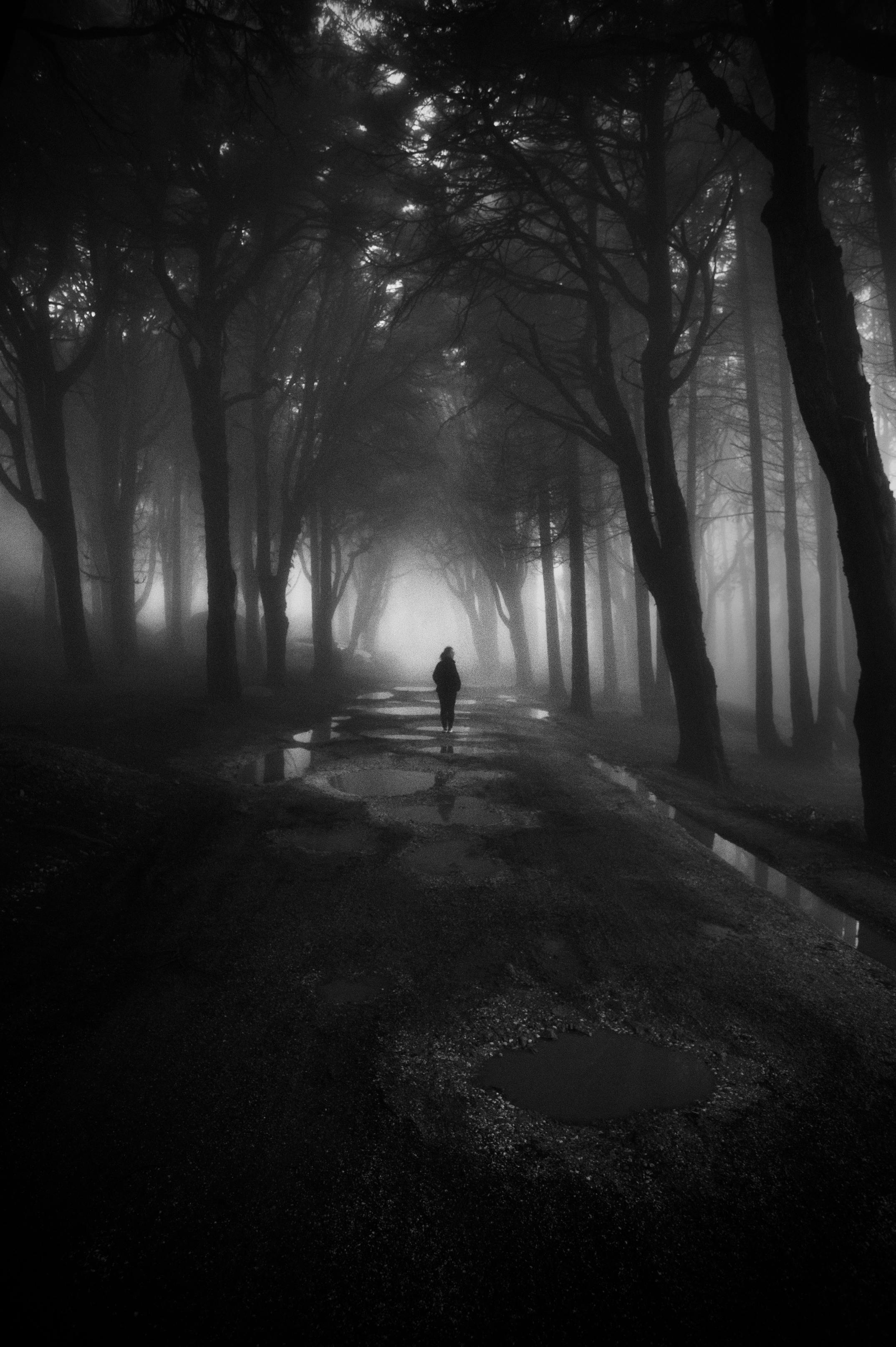 Alone In The Dark Photo, Download The BEST Free Alone In The Dark & HD Image