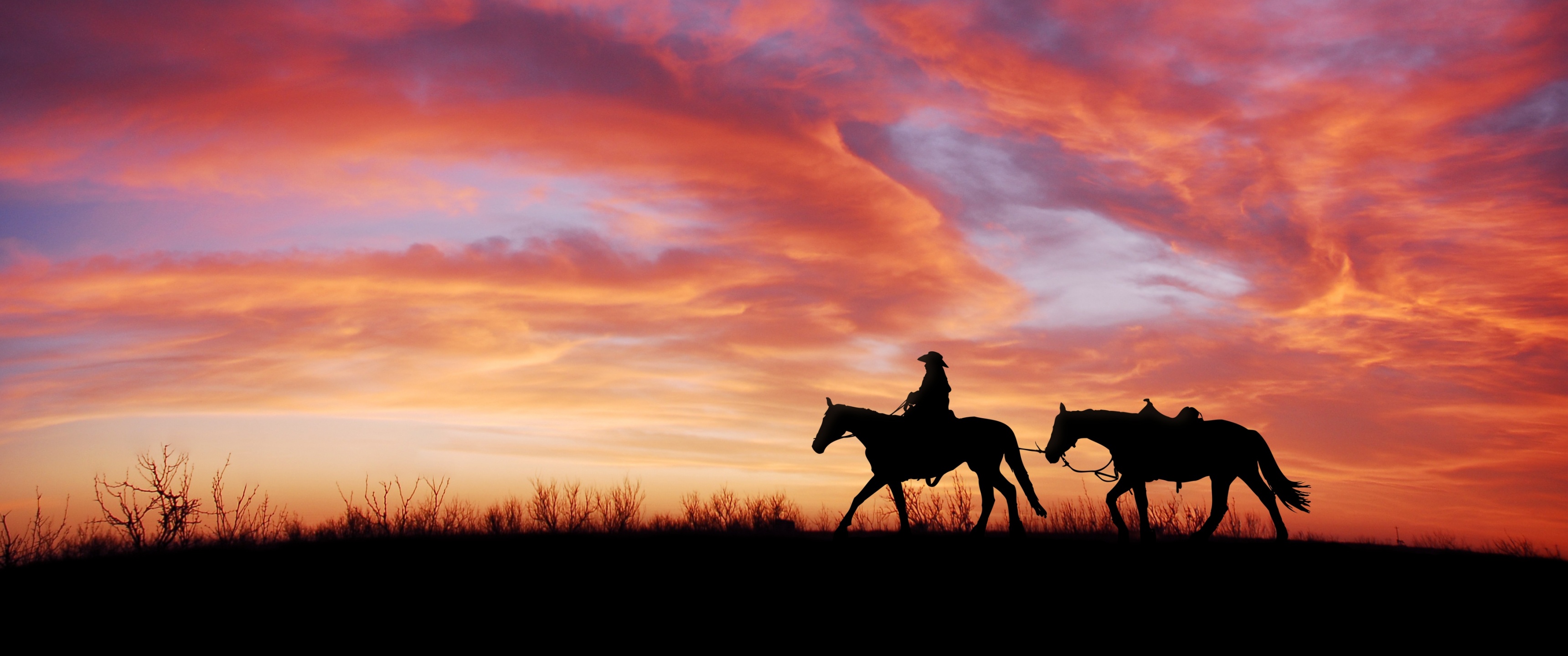 Cowboy Wallpaper 4K, Horses, Silhouette