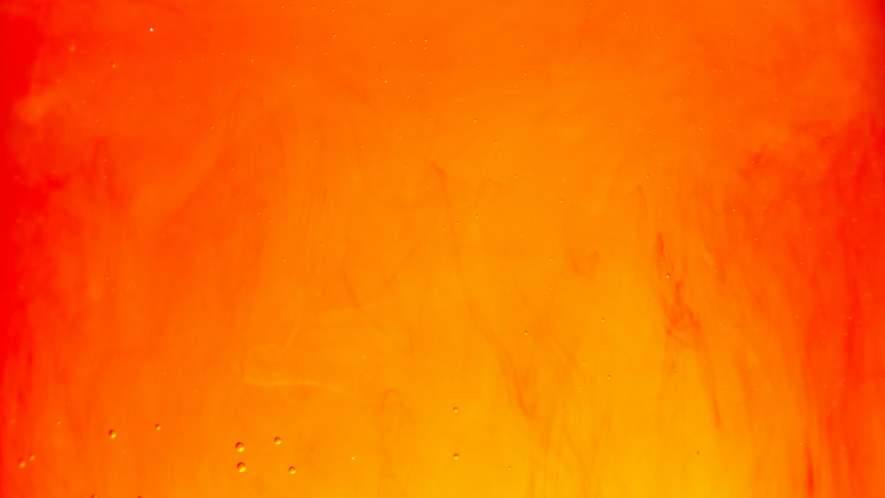 Orange Wallpaper: Free HD Download