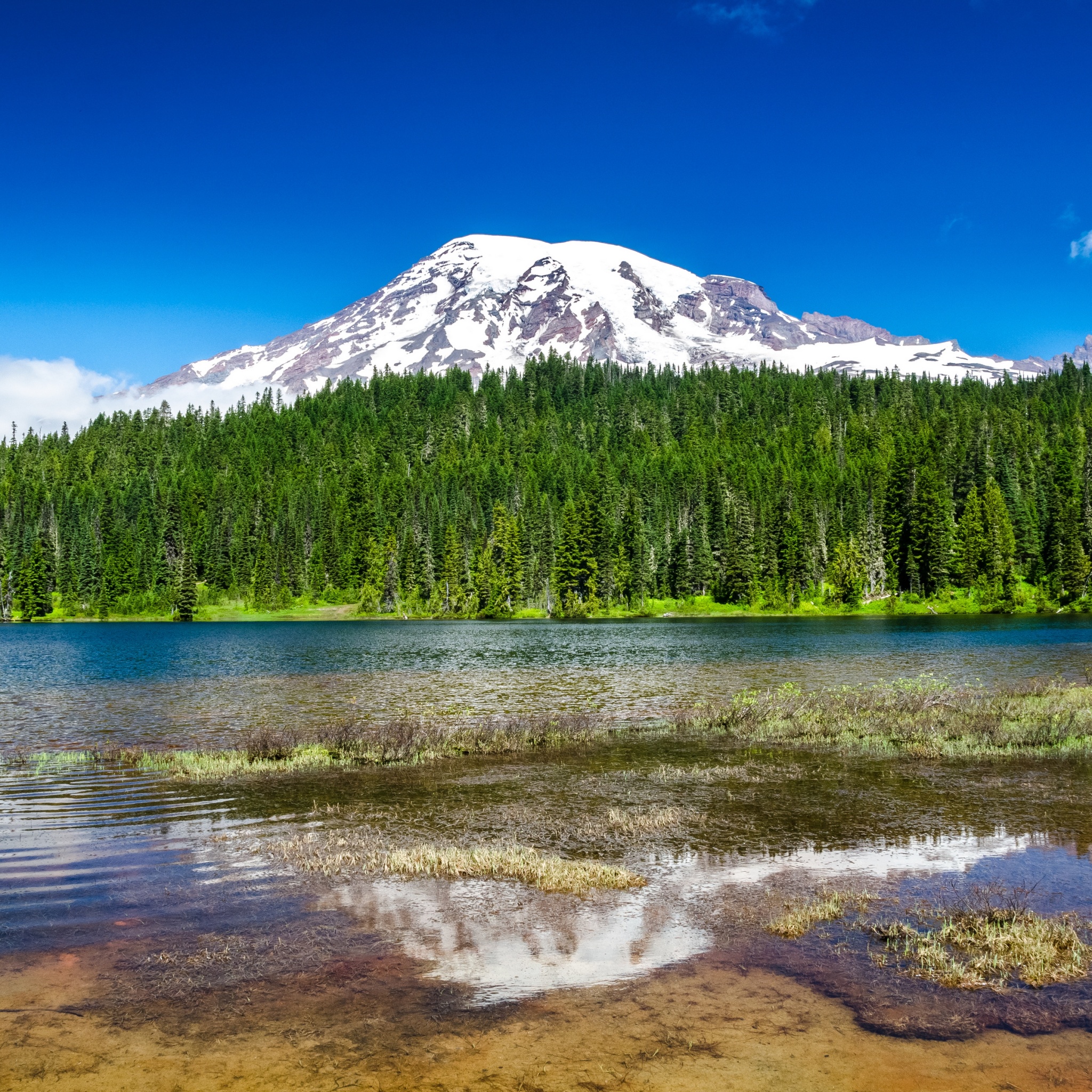 Mount Rainier National Park Wallpaper