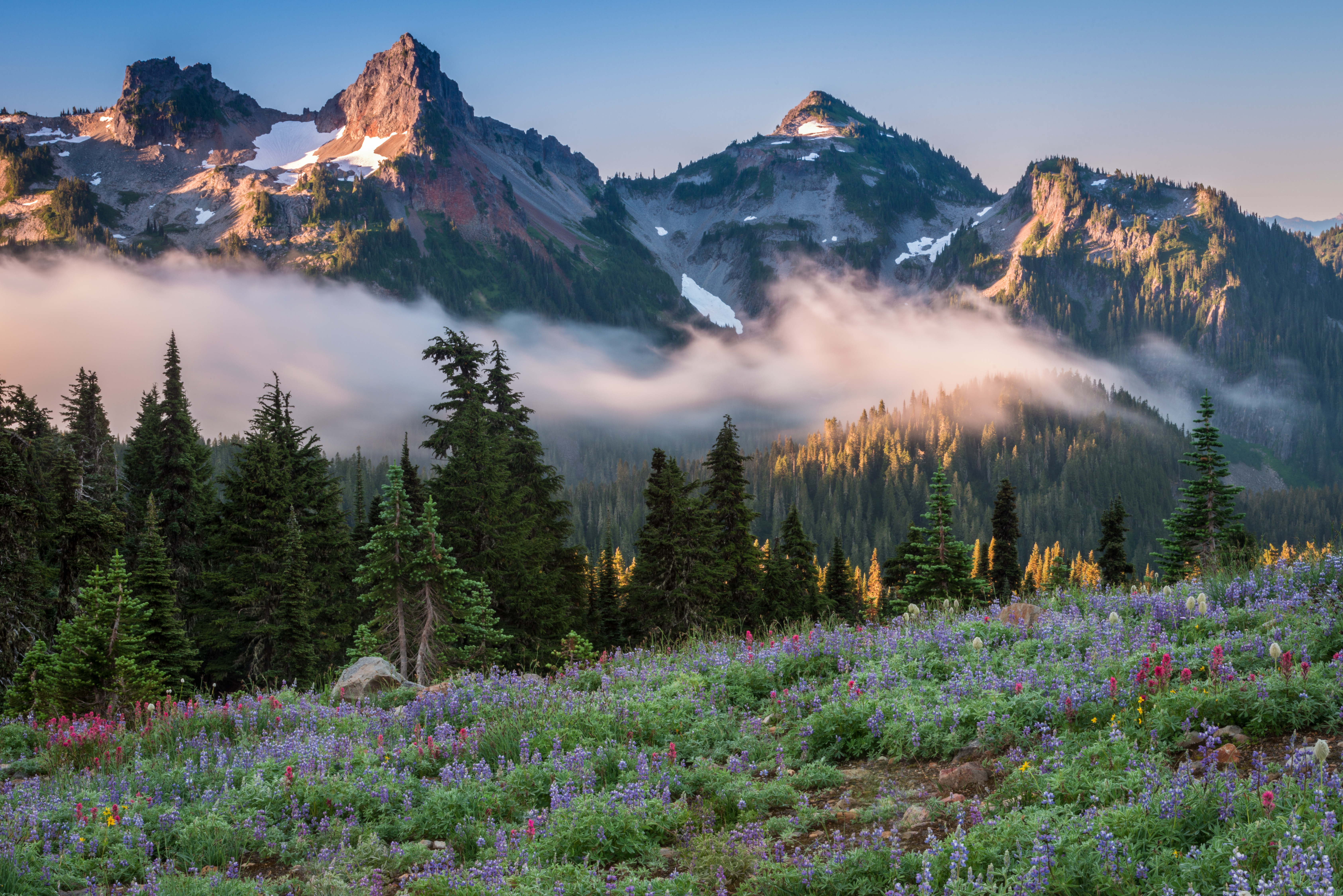 Nature Mount Rainier 4k Ultra HD Wallpaper