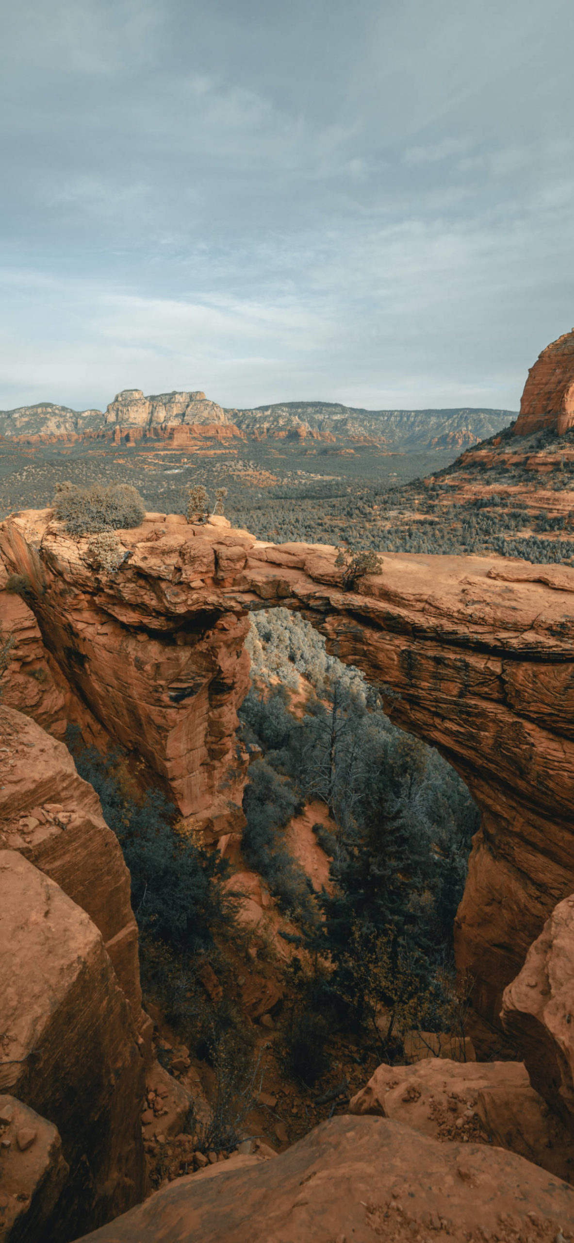 Arizona Wallpaper for iPhone 11, Pro