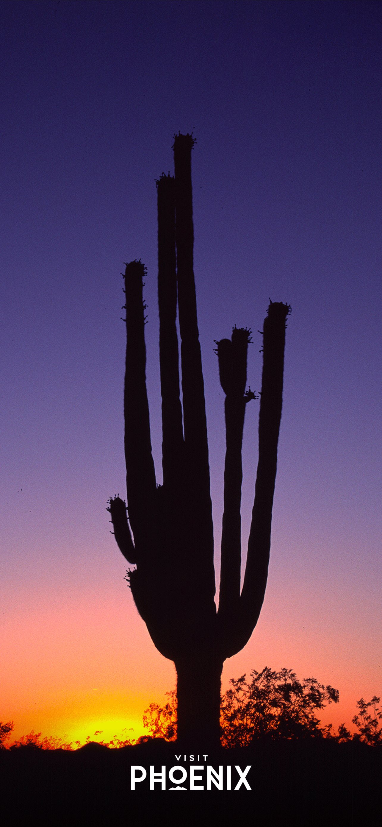 phoenix arizona iPhone Wallpaper Free