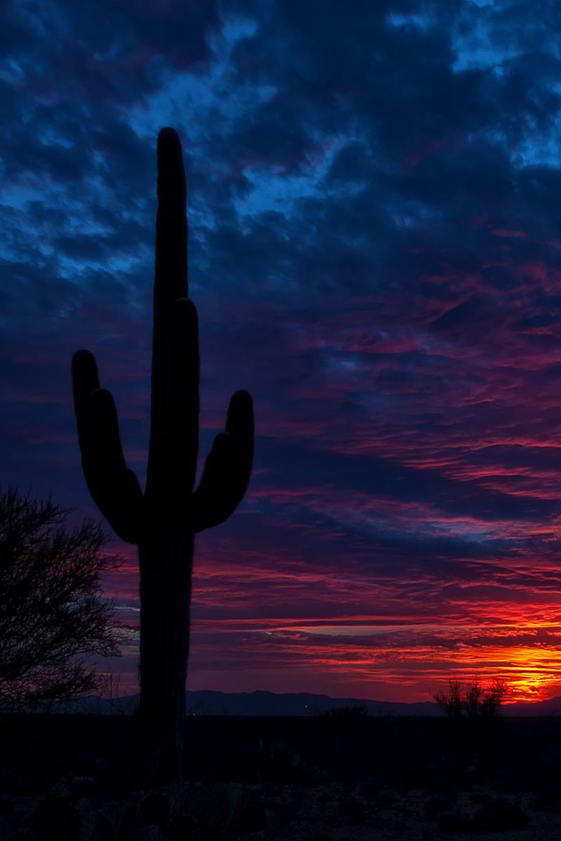 Download wallpaper 800x1200 tucson