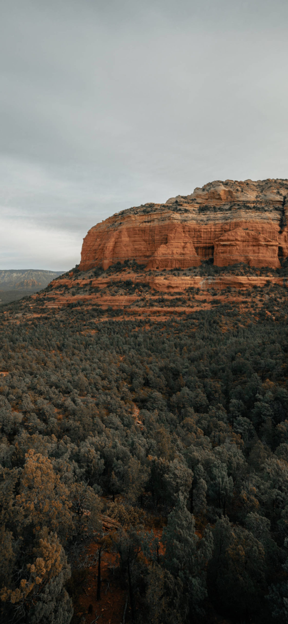 Arizona Wallpaper for iPhone 11, Pro