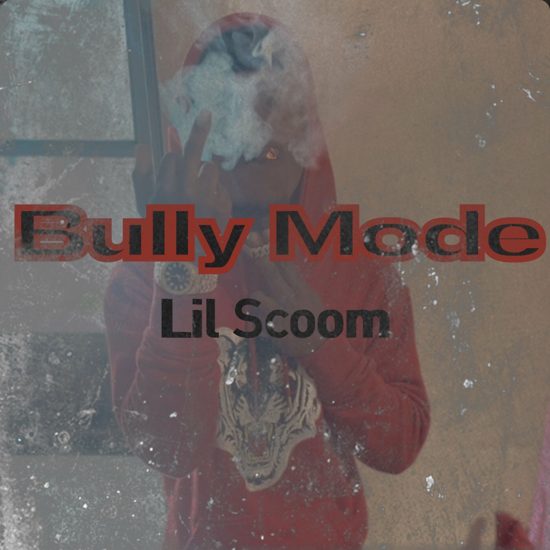 LiL Scoom: albums, songs, playlists