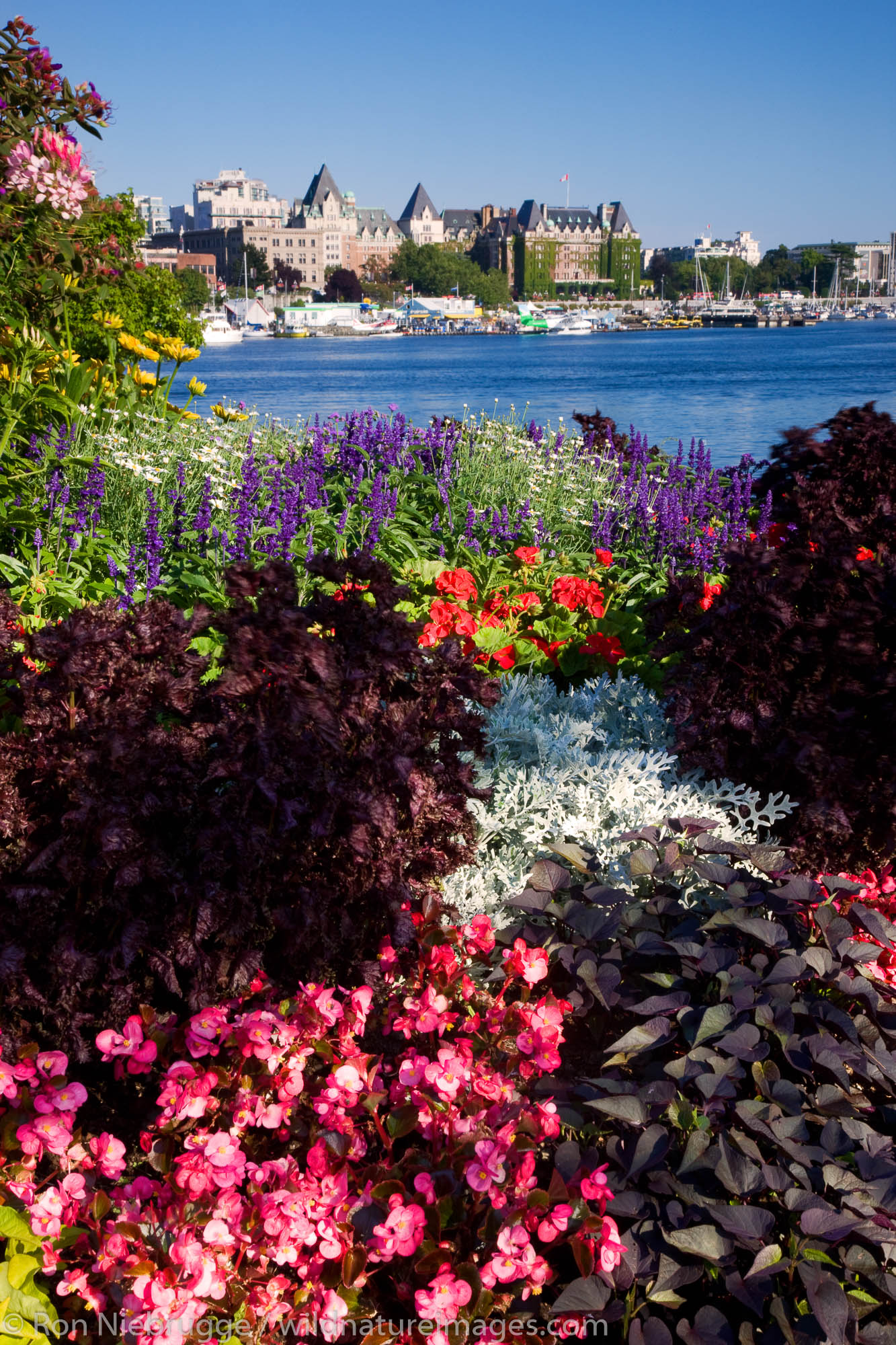 The historic Empress Hotel. Victoria