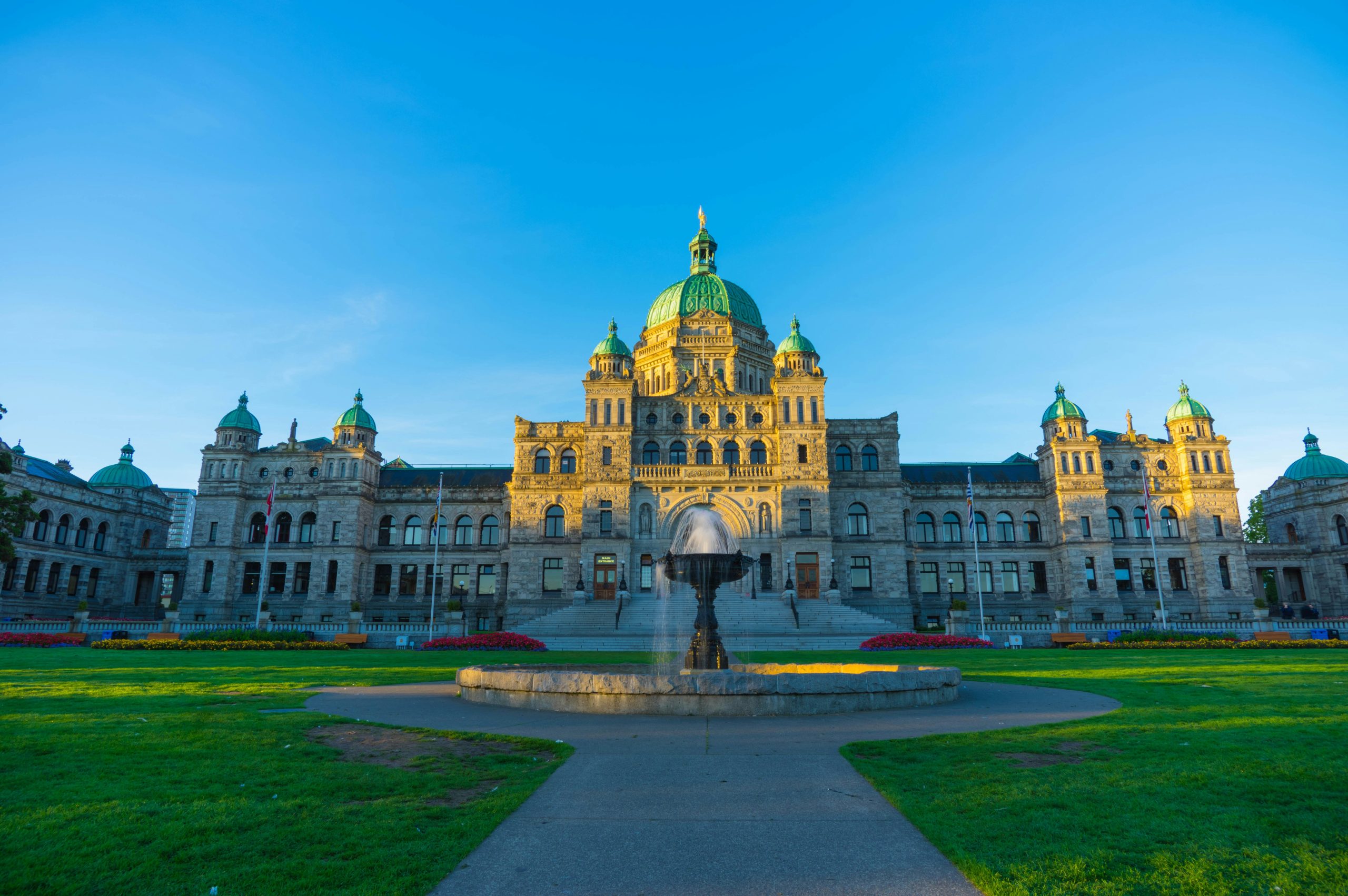 Whale Watching in Victoria