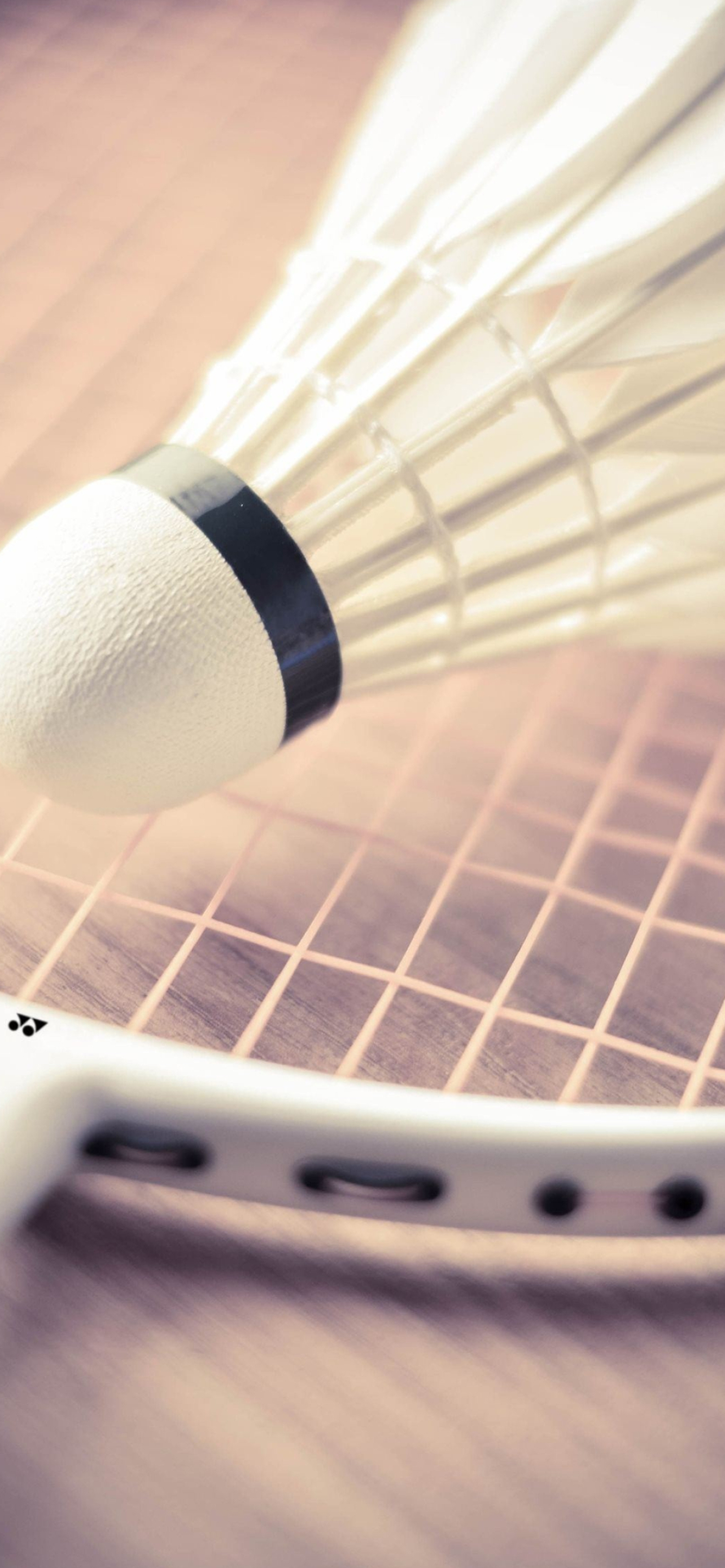 Badminton Wallpaper