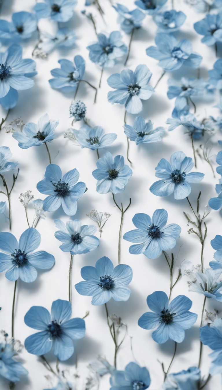 Wallpaper HD