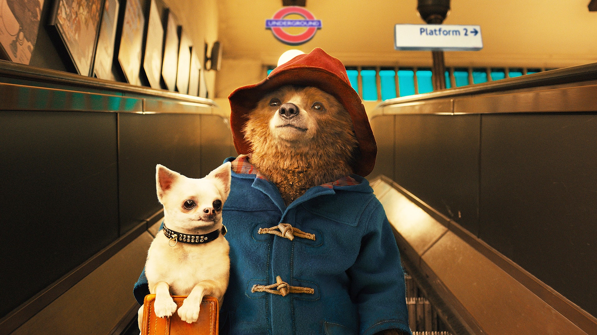 Paddington 3 may not be happening