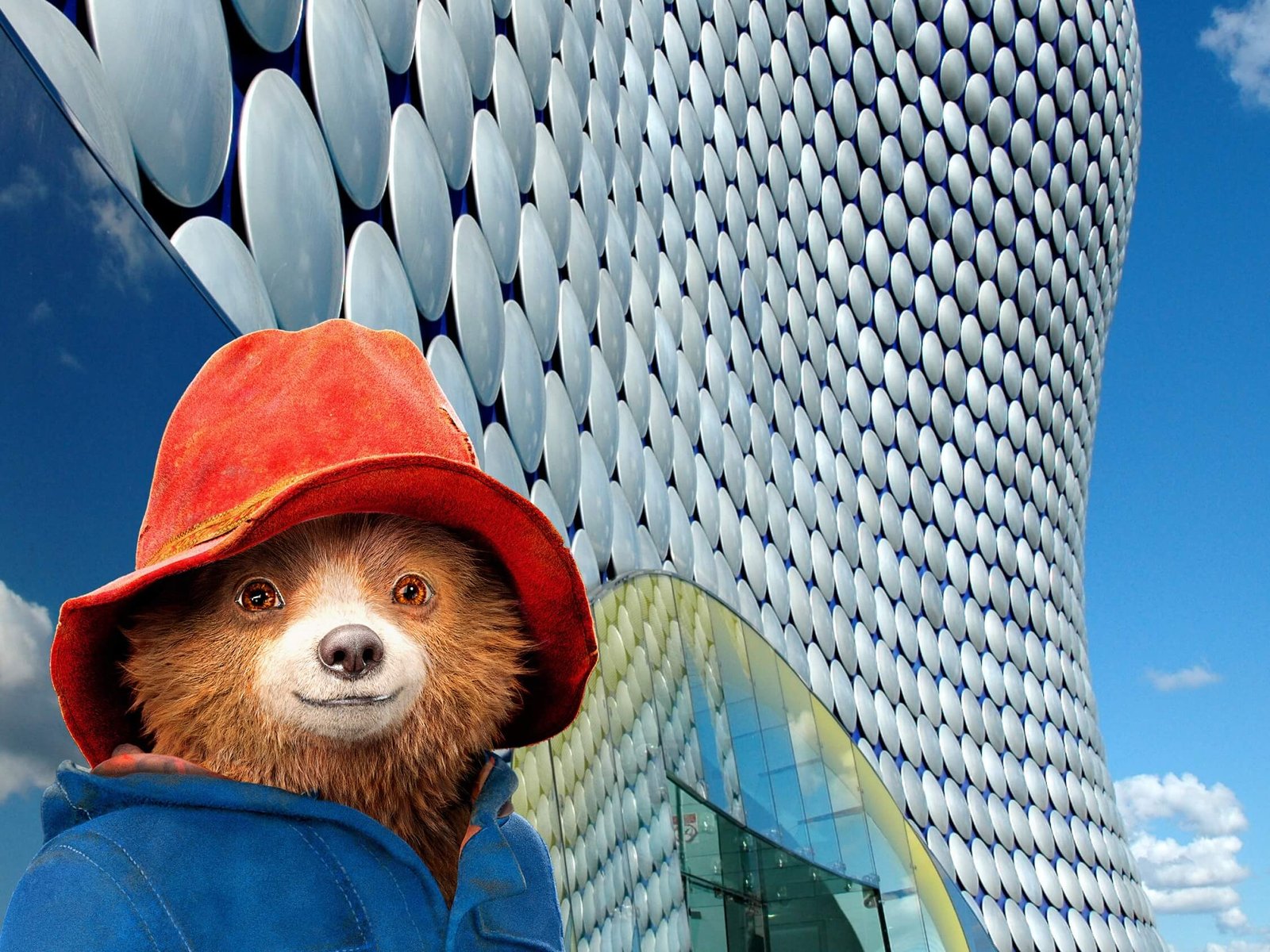 Paddington in Concert: Review