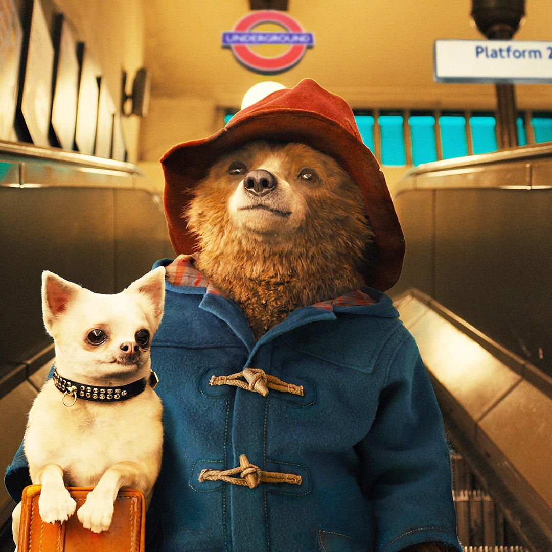 Paddington 3 may not be happening