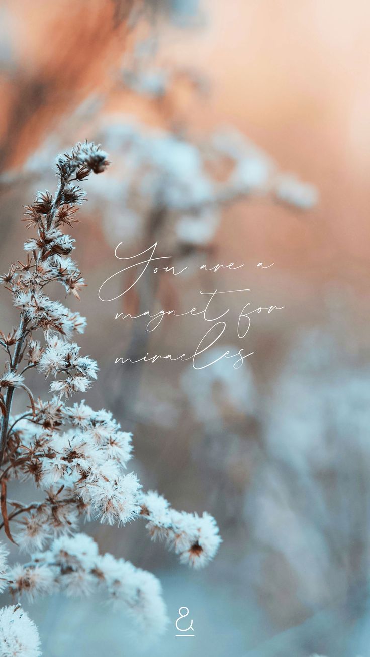 iPhone wallpaper winter, Winter