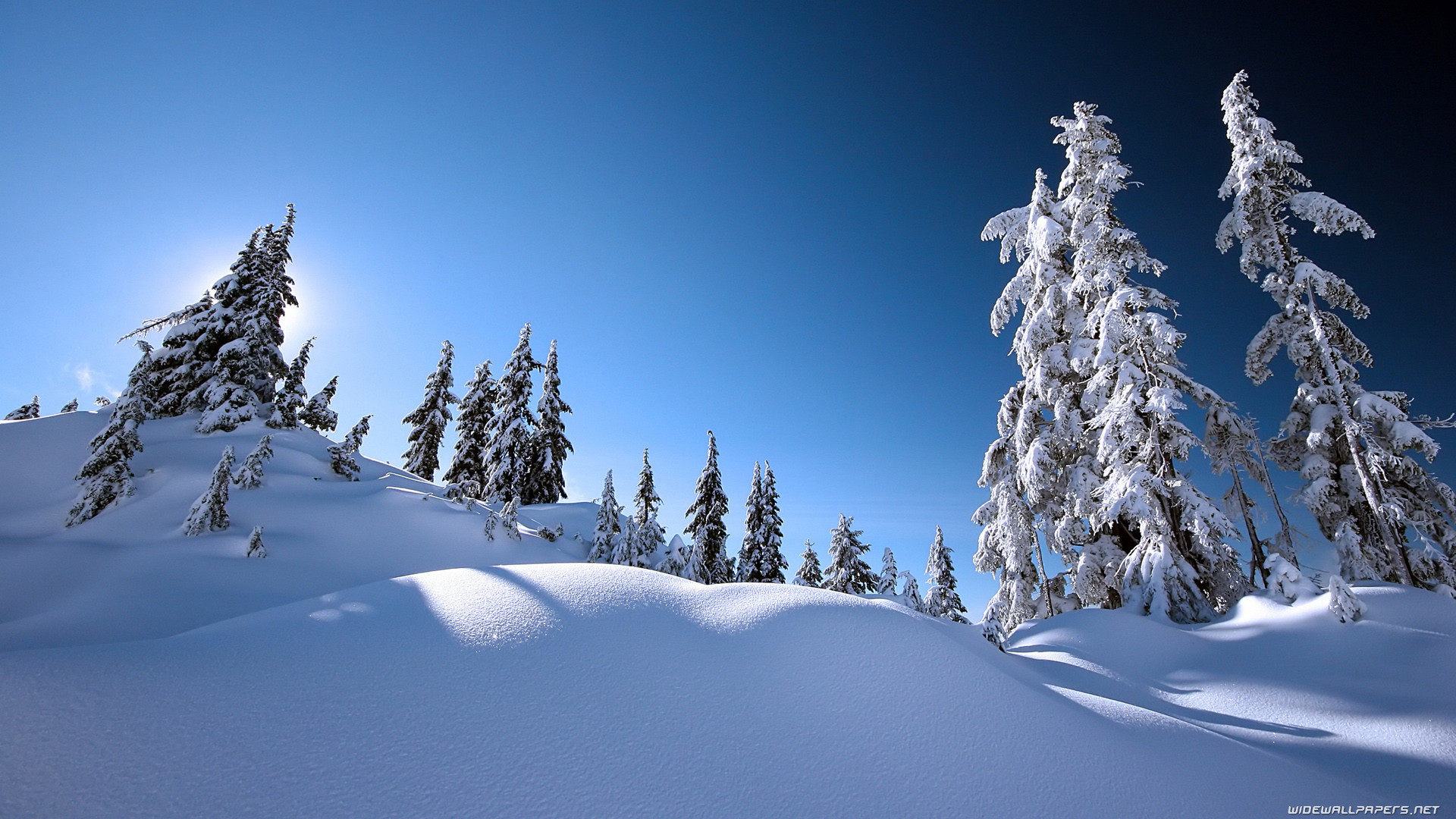 Winter desktop wallpaper HD and wide
