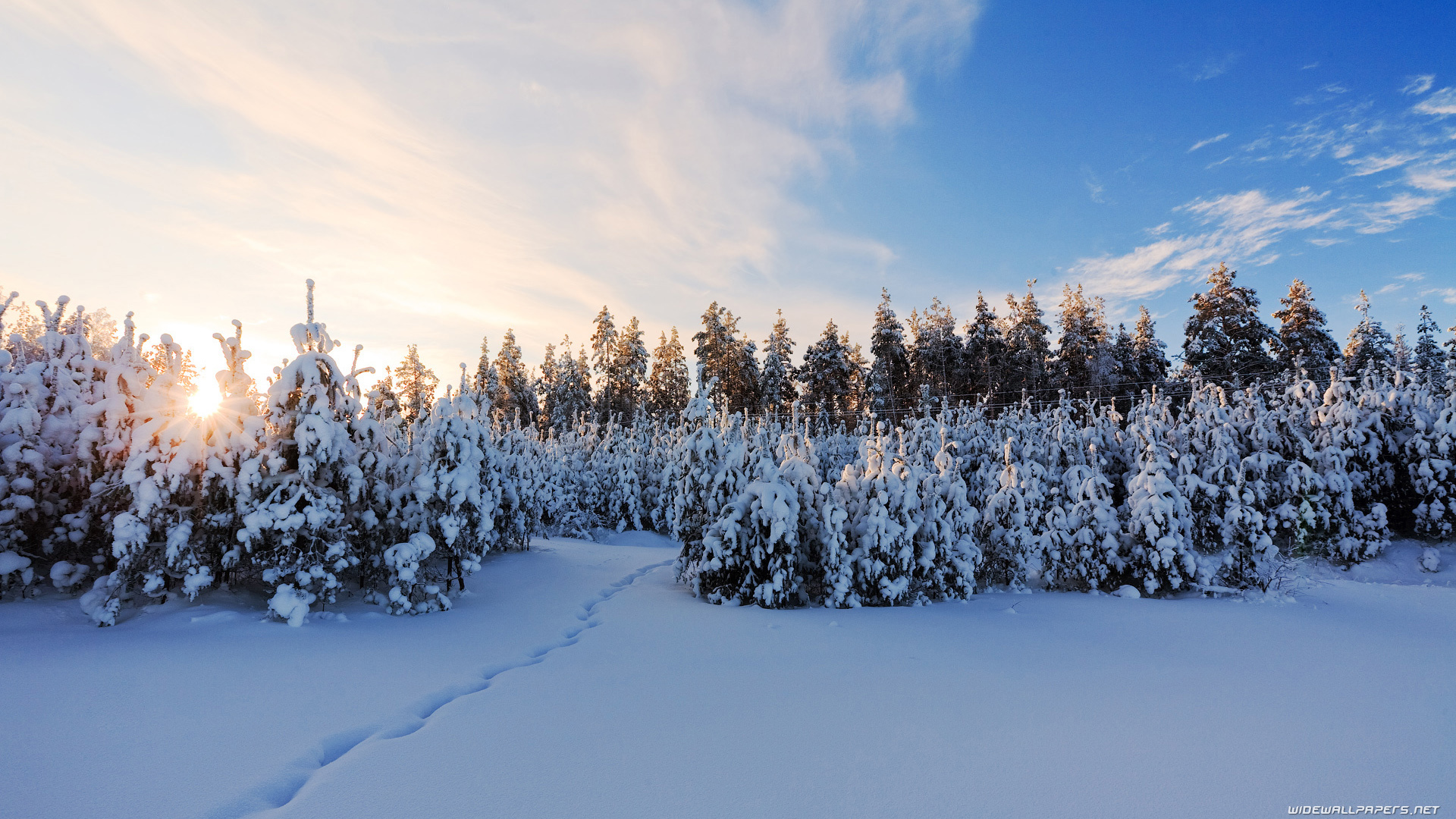 Winter desktop wallpaper HD and wide