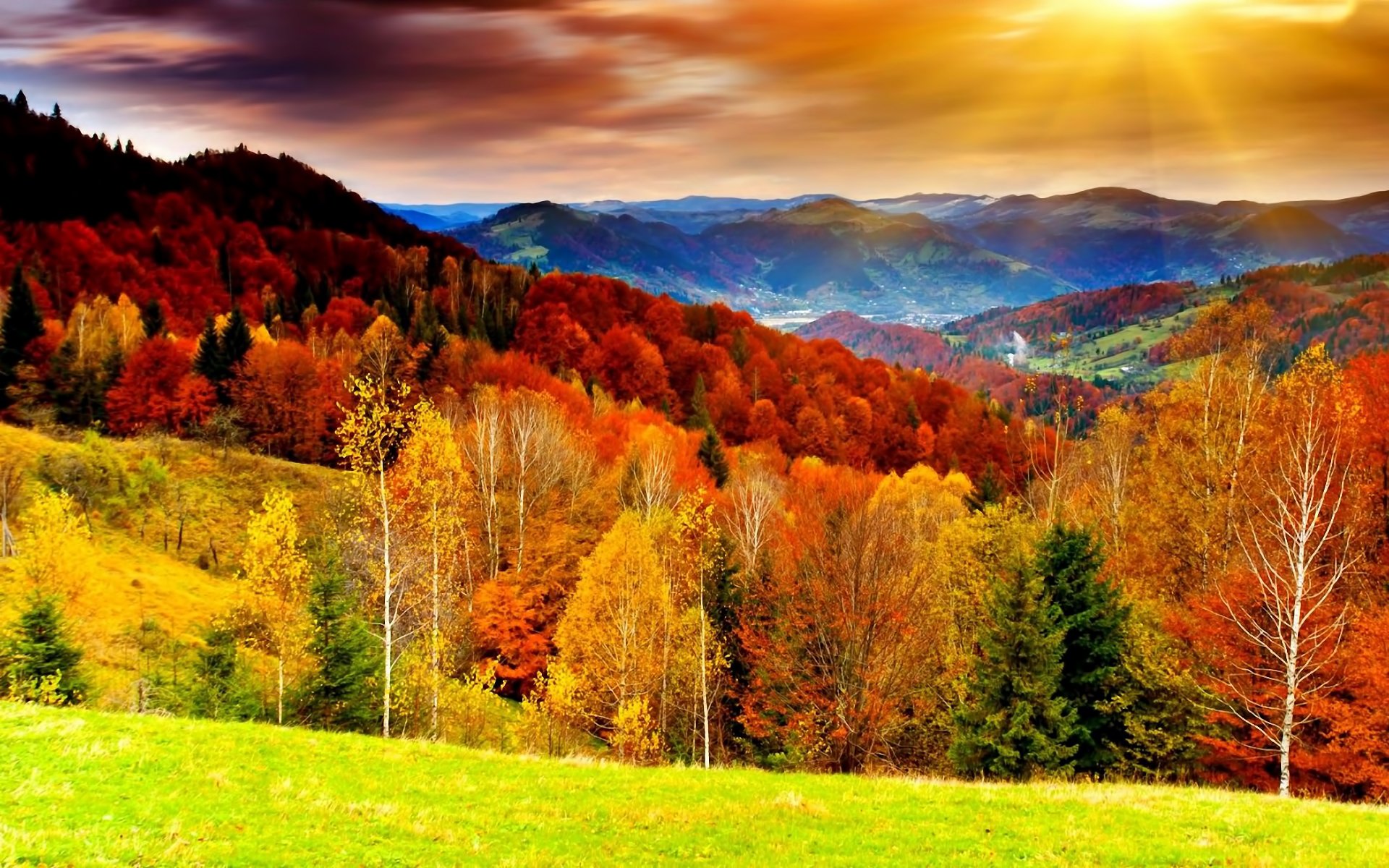 Autumn Serenity HD Wallpaper