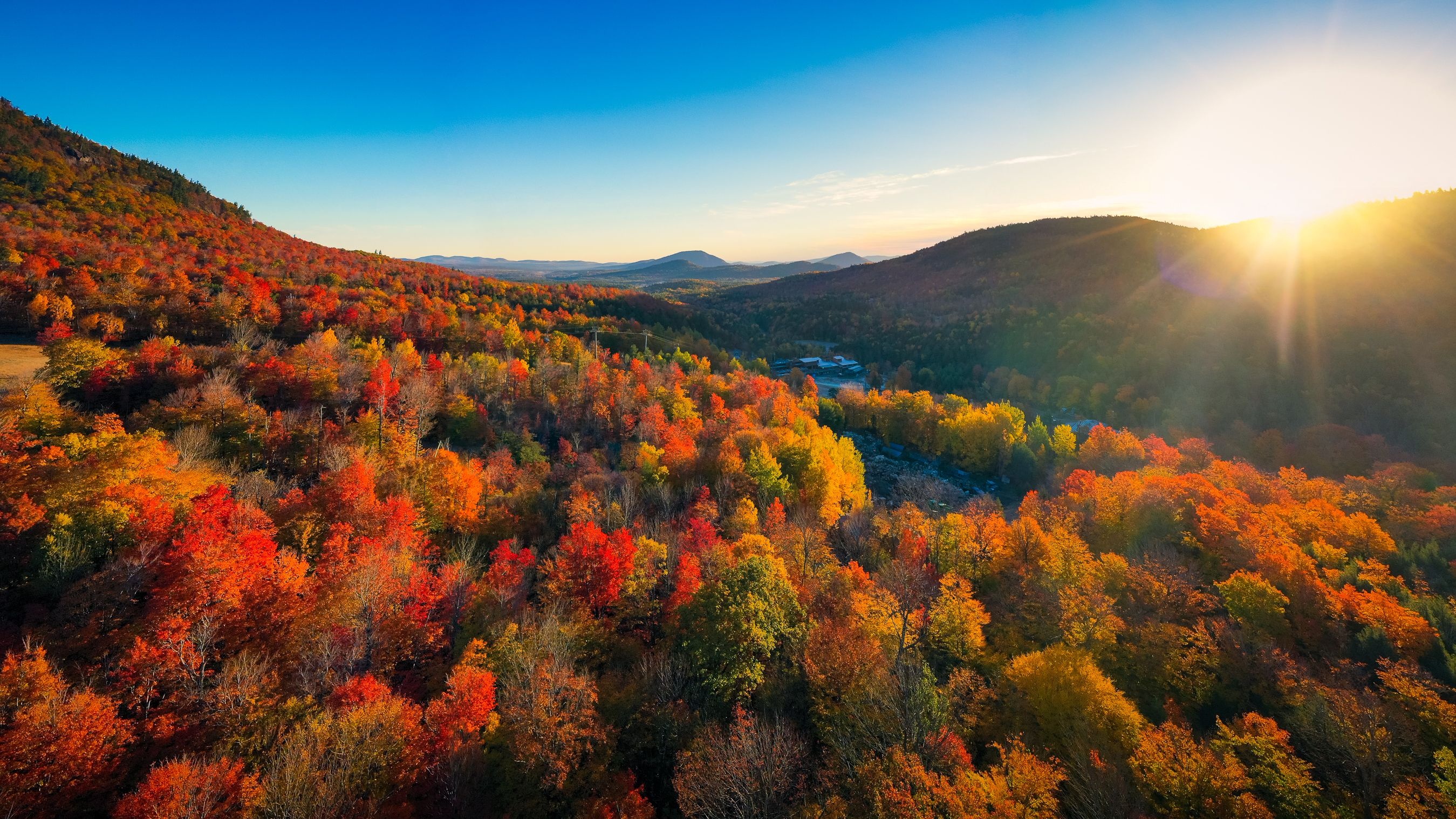 Fall Wallpaper
