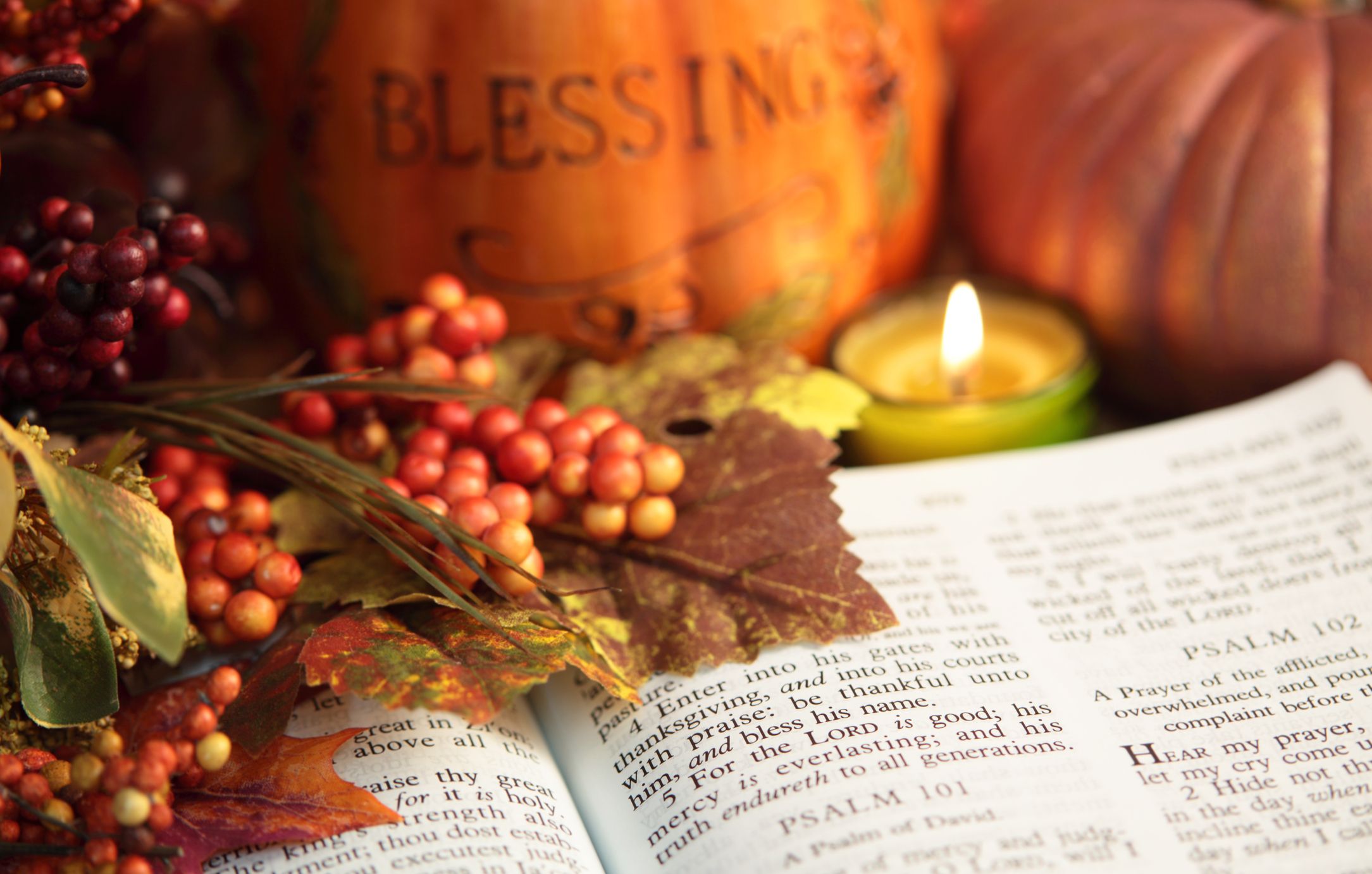 Fall Bible Verses and Scripture for Autumn