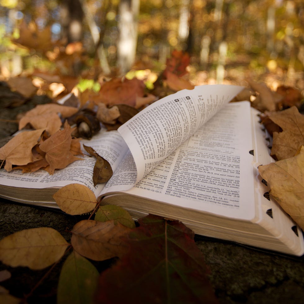 Fall Bible Verses and Scripture for Autumn
