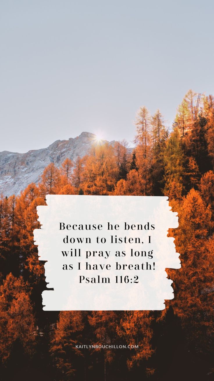 Free Fall iPhone Lock Screens