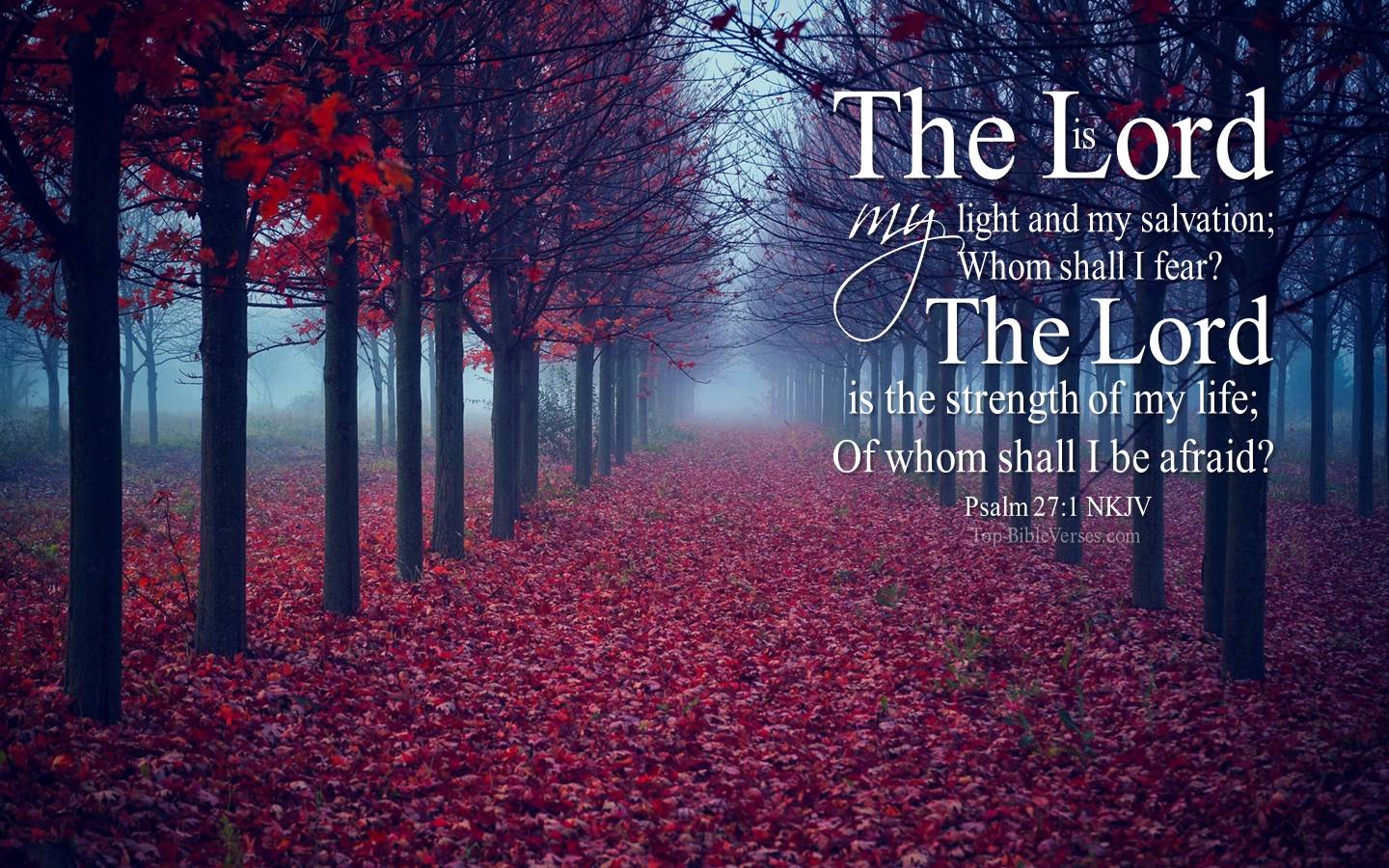 Psalm 27:1 Bible Verse Wallpaper