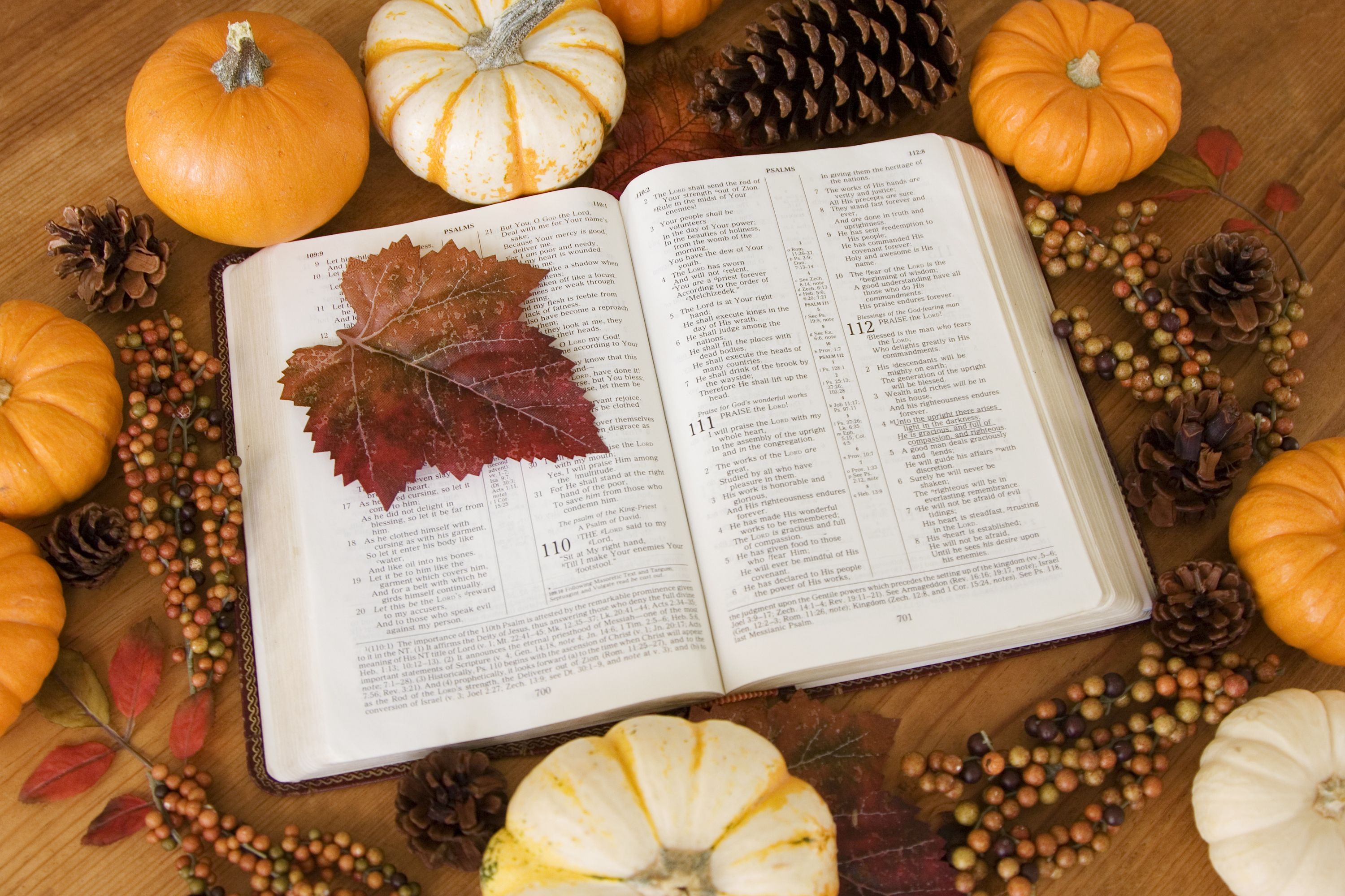 Fall Bible Verses and Scripture for Autumn