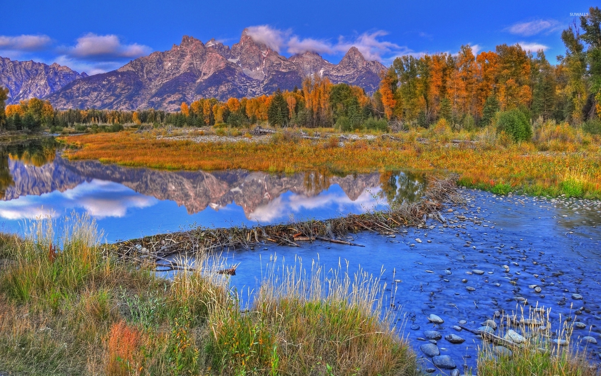 Autumn forest by the rocky mountains