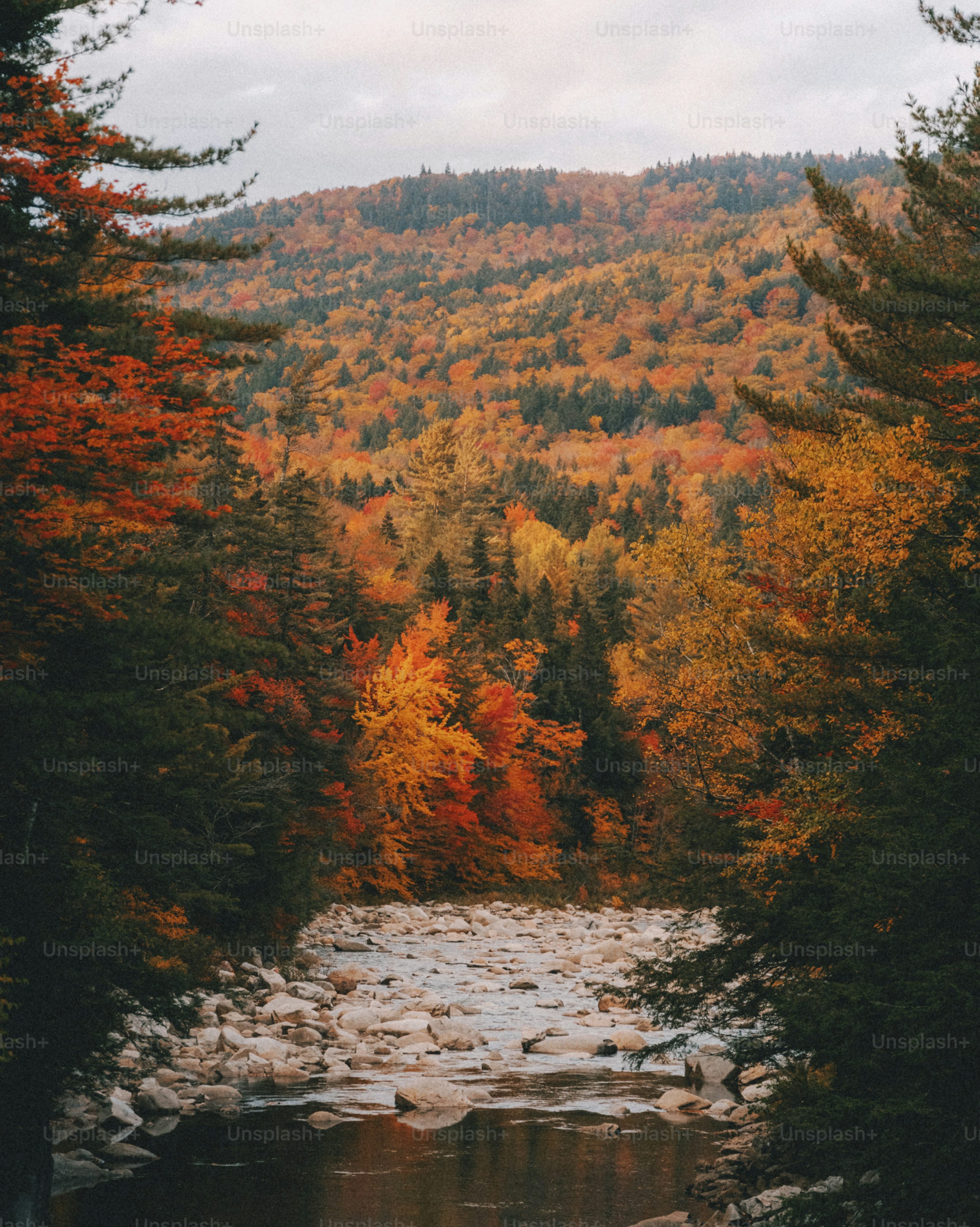 Canada Autumn Picture. Download Free