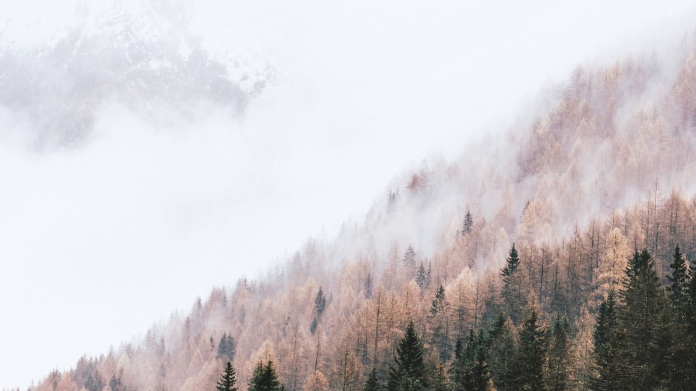 wallpaper 1366x768 autumn, peak