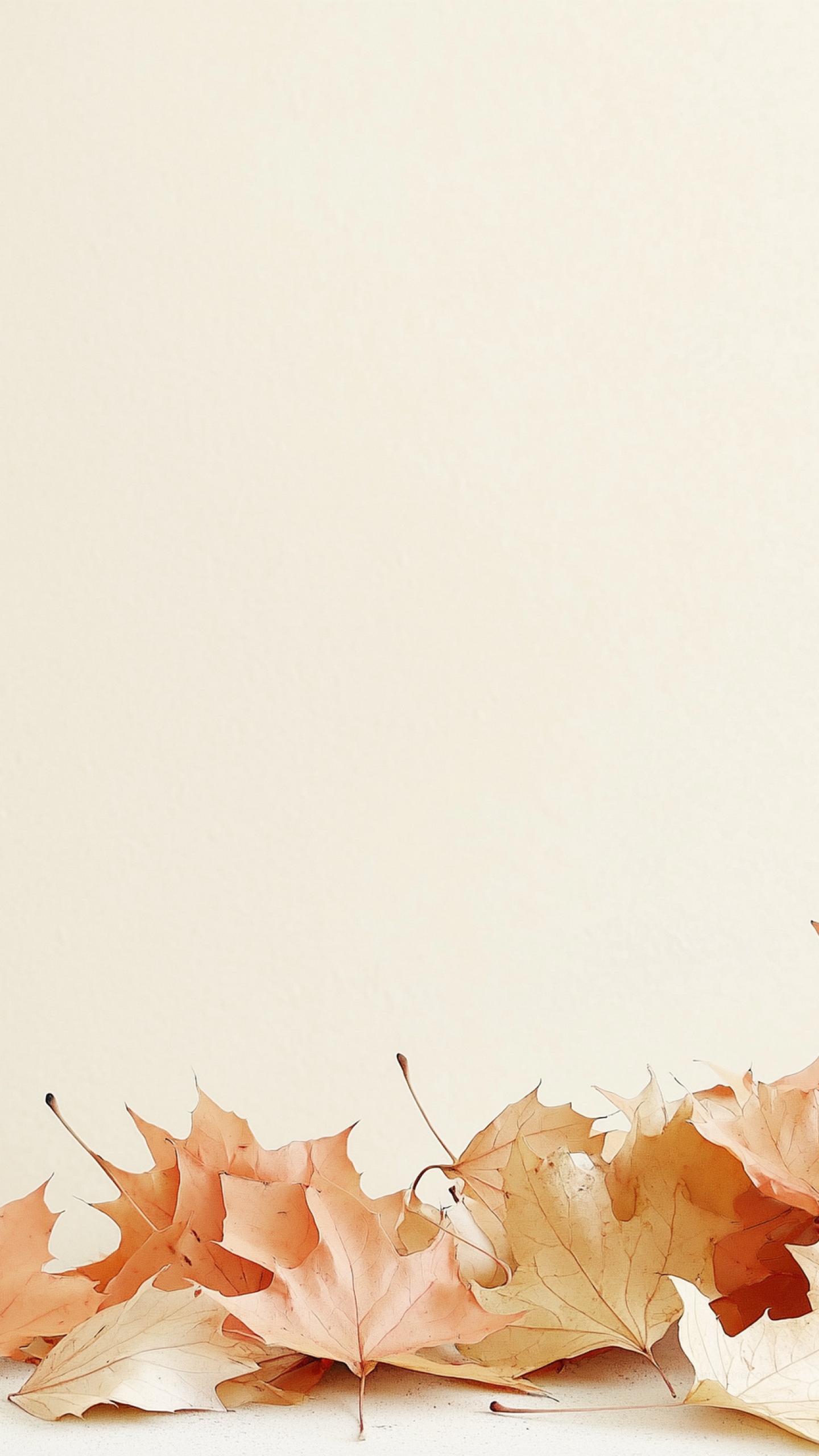 Fall Wallpaper, Calm, Seasonal