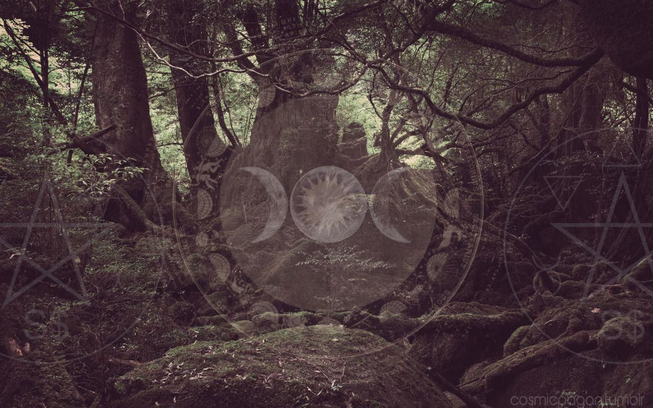 Witchy Moon Desktop Wallpaper