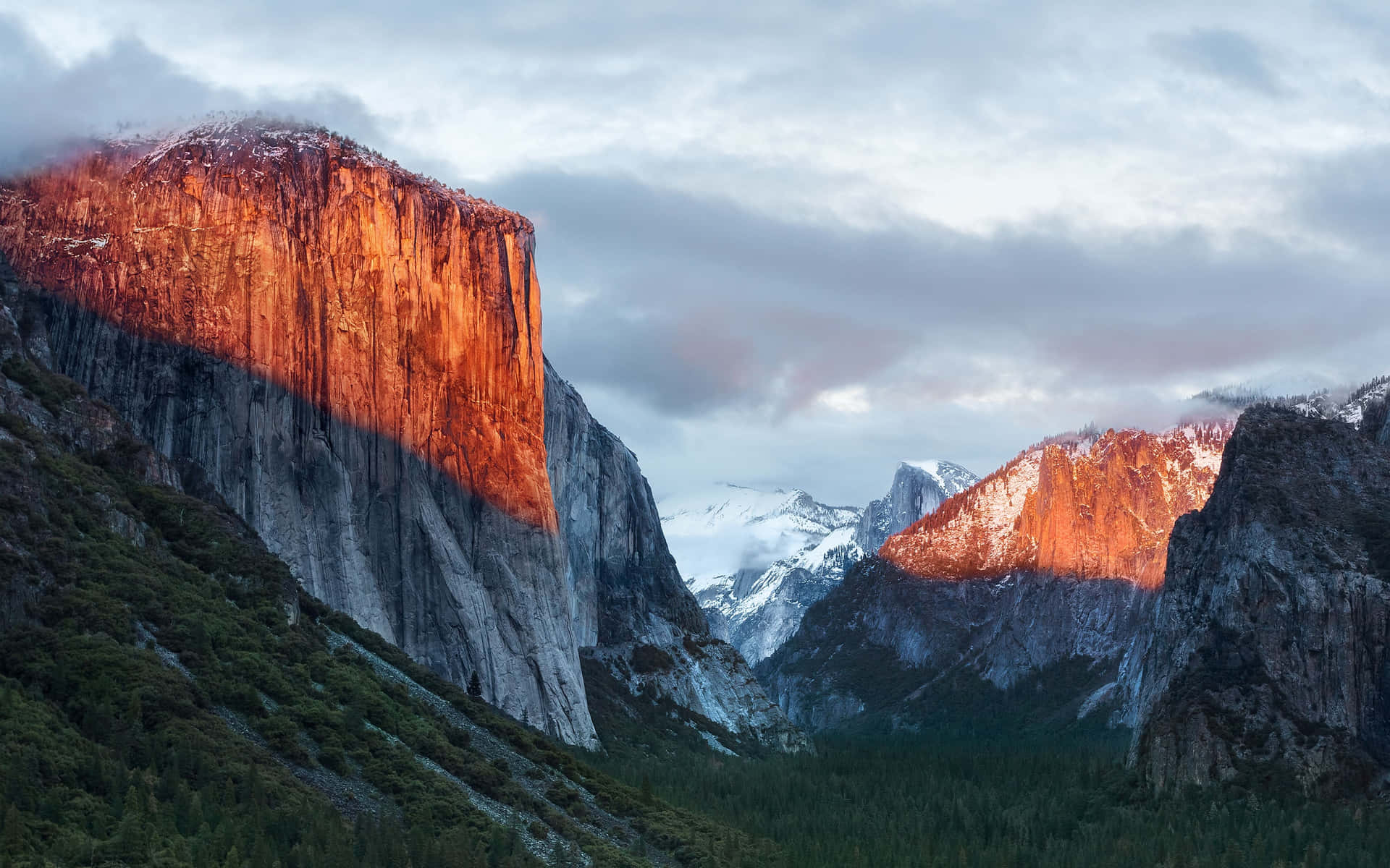 El Capitan Wallpaper