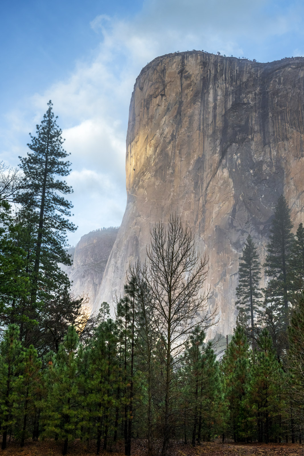 Yosemite National Park Fine Art Photo