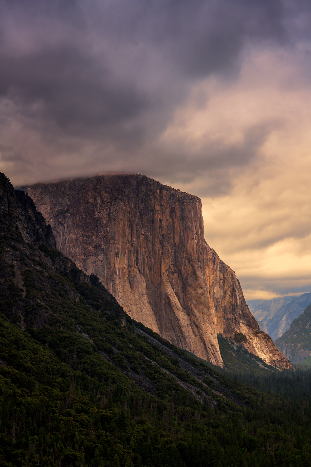 Yosemite National Park Trip Report