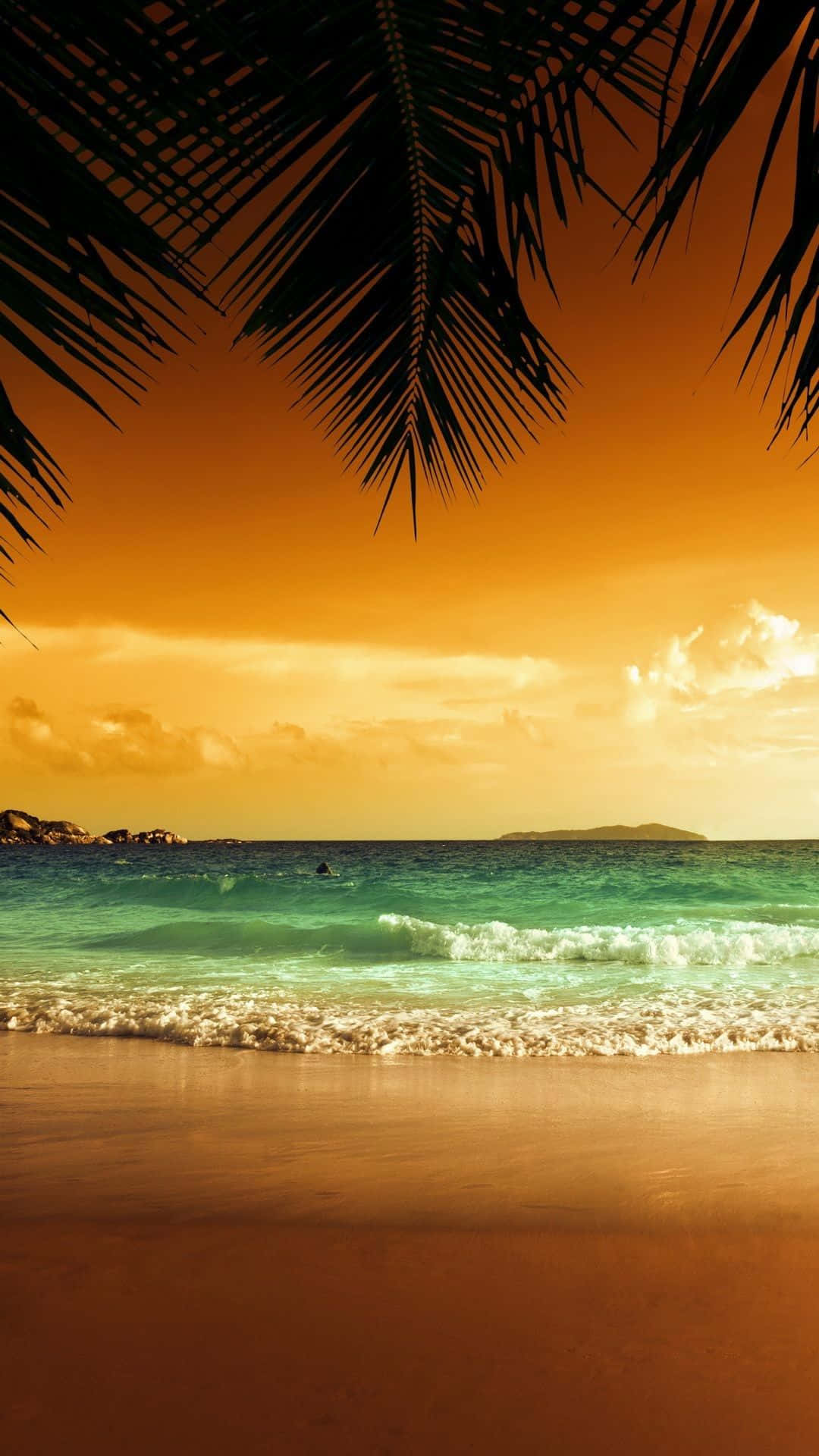 Download Soak in the beautiful sunset