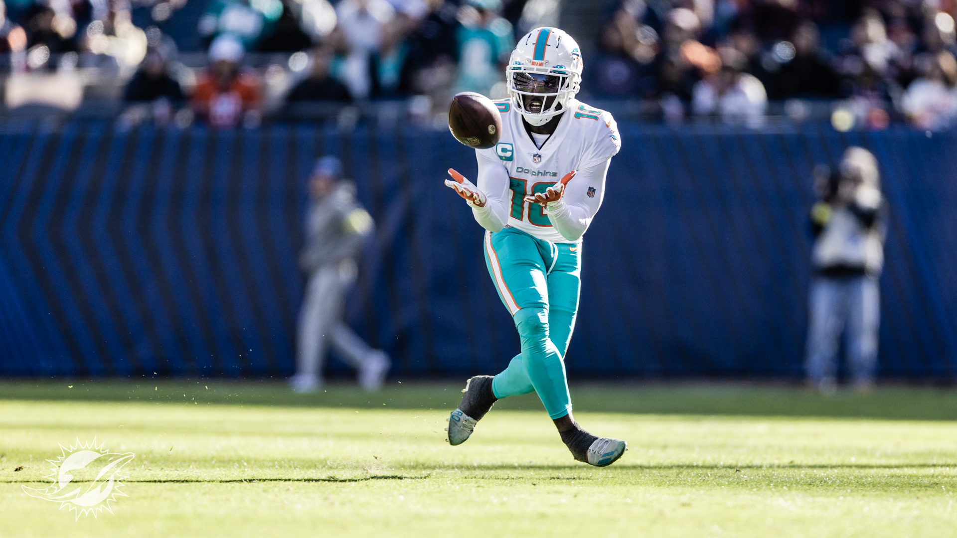 Dolphins Wallpaper. Miami Dolphins