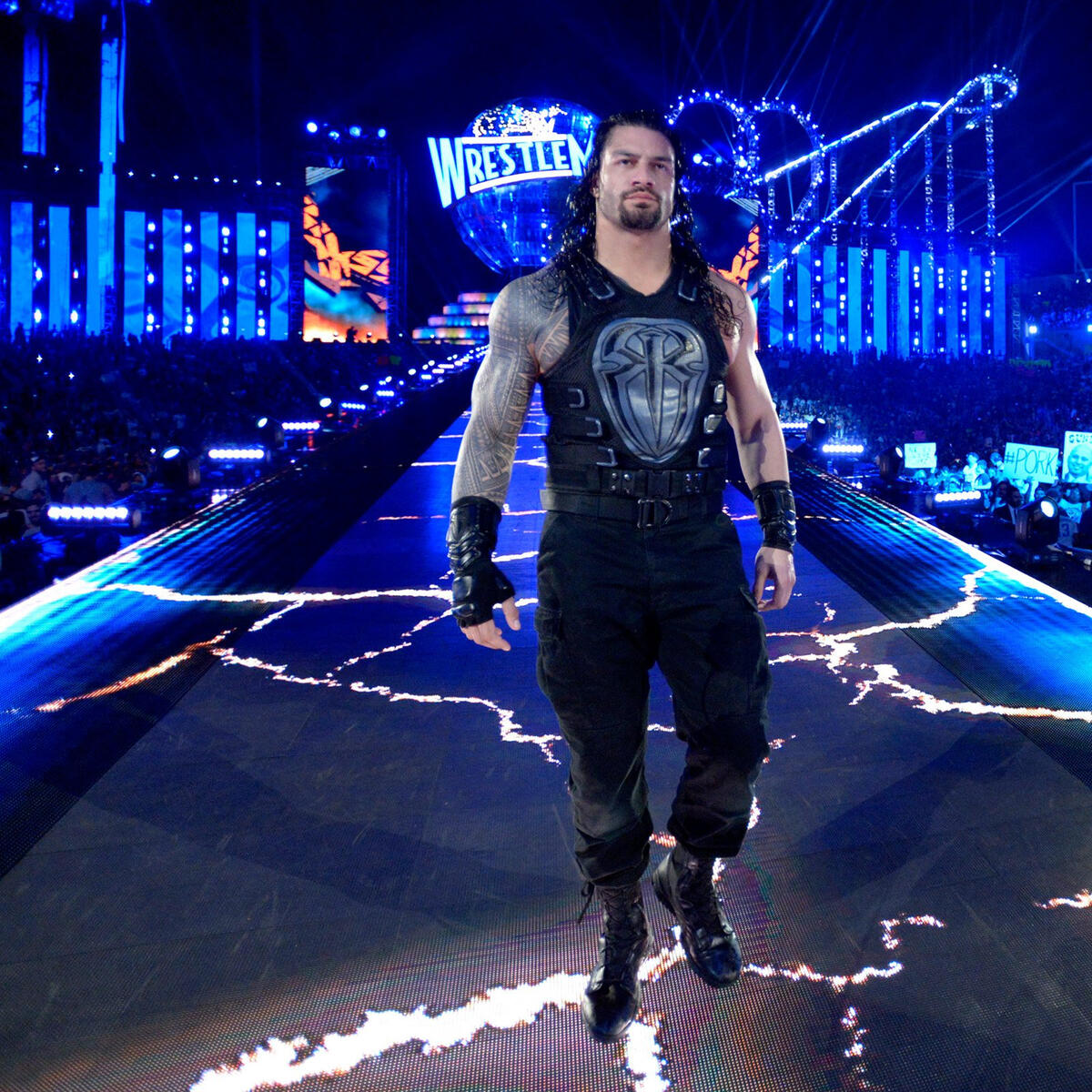 Roman Reigns vs. The Undertaker