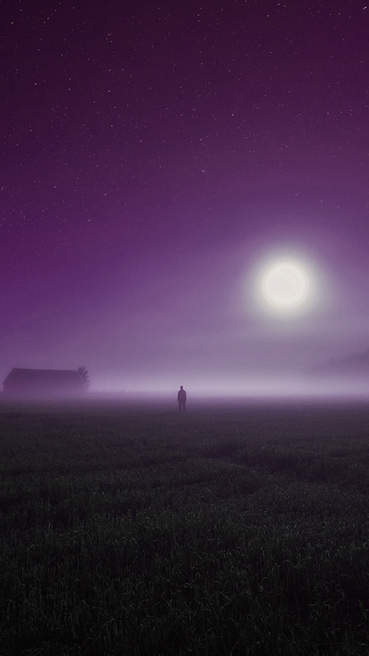 Sunrise Fog Field Art Purple Wallpaper