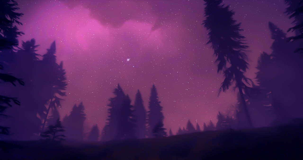 Nature Fog Night