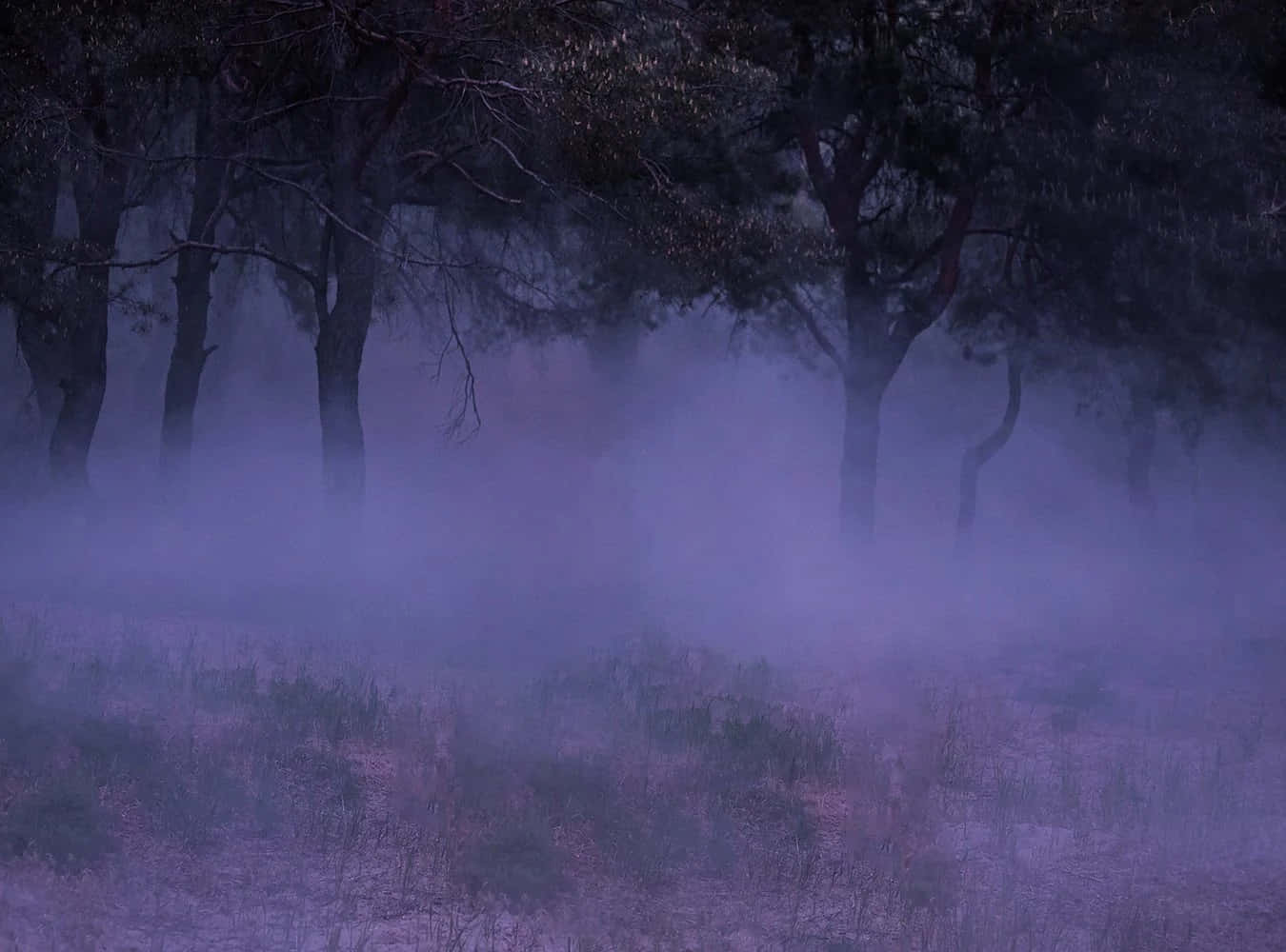 Download Captivating Purple Smoke: An