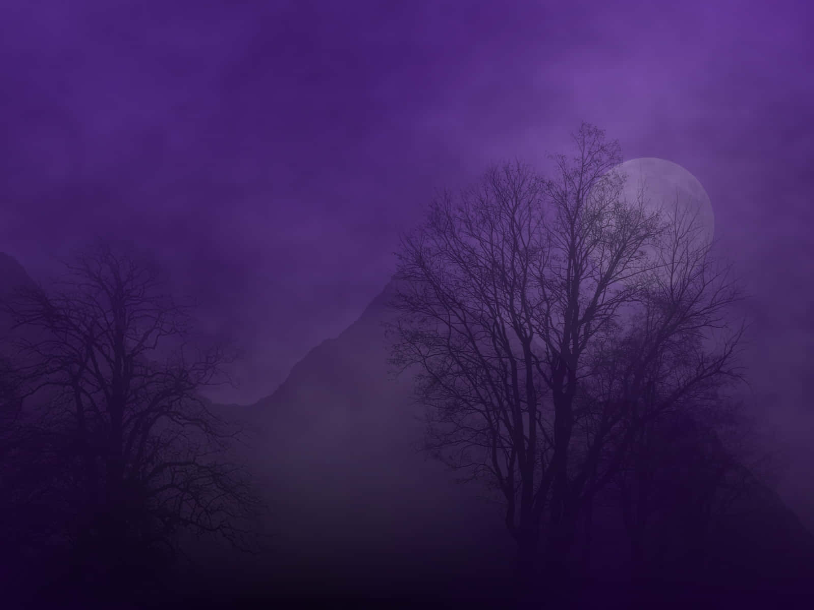 Purple Haze Wallpaper