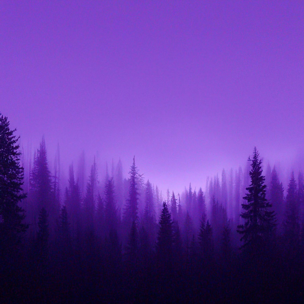 Purple fog, dark forest, background