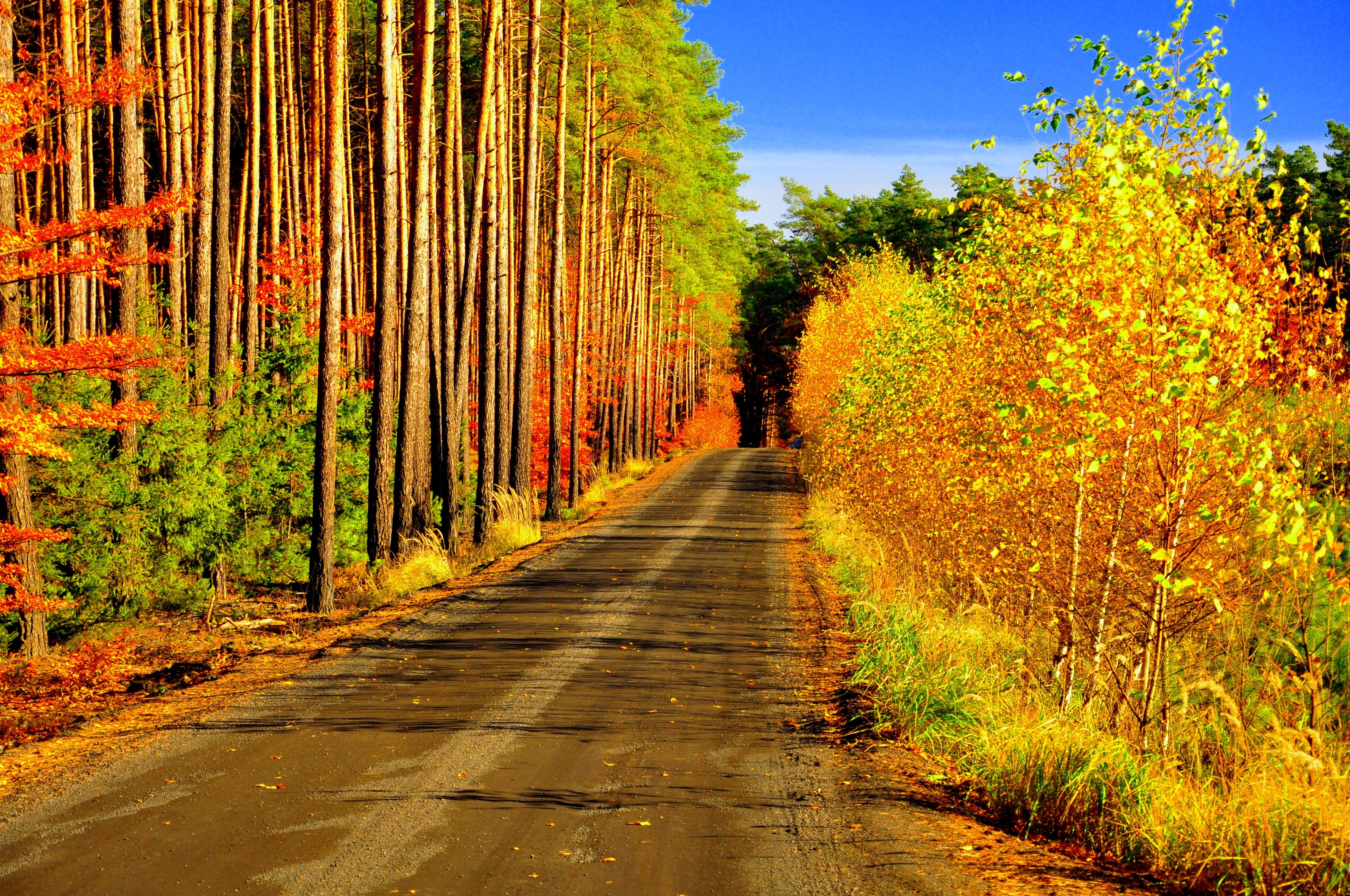 Nature Man Made Road 4k Ultra HD Wallpaper