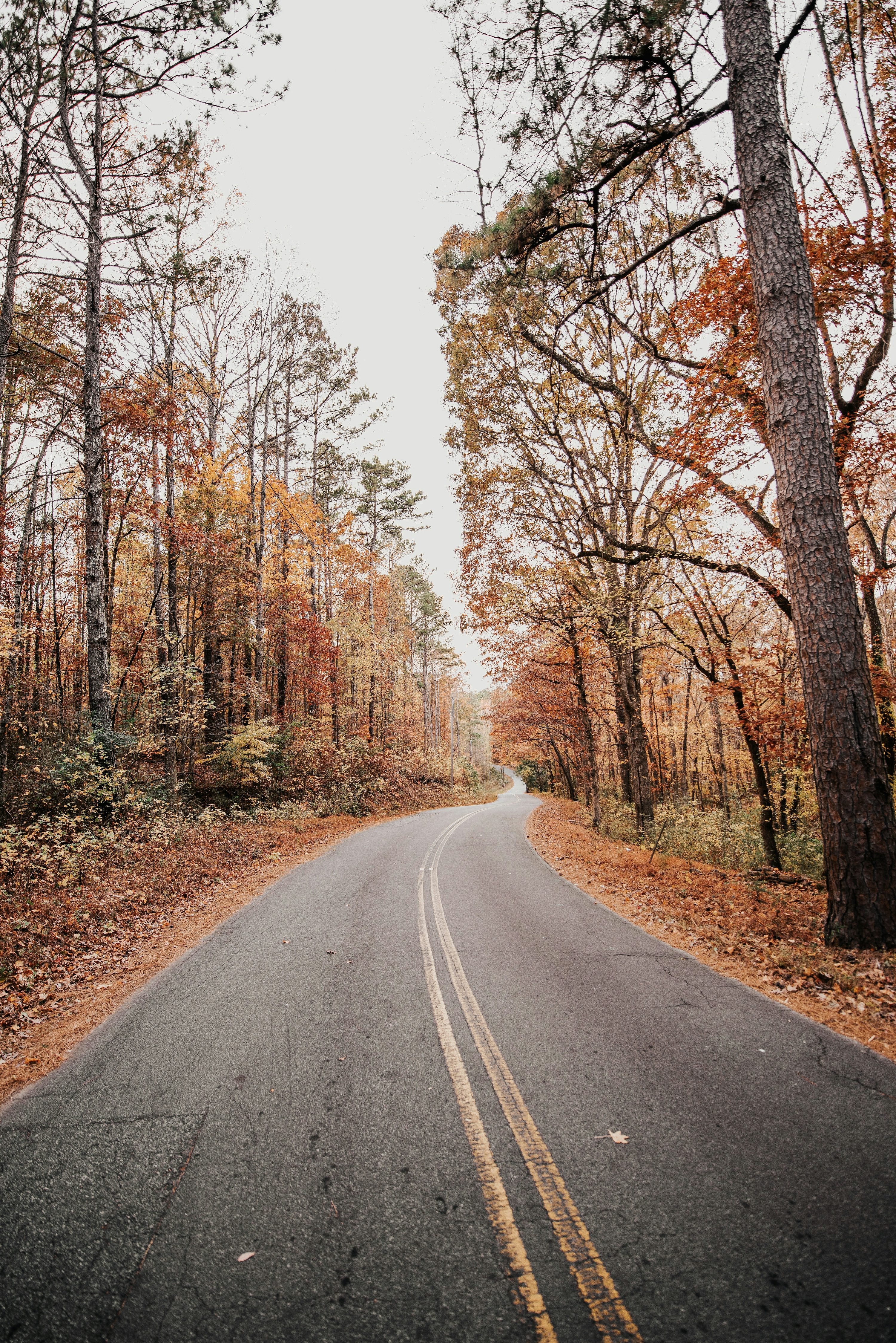 Fall Background Image: Download