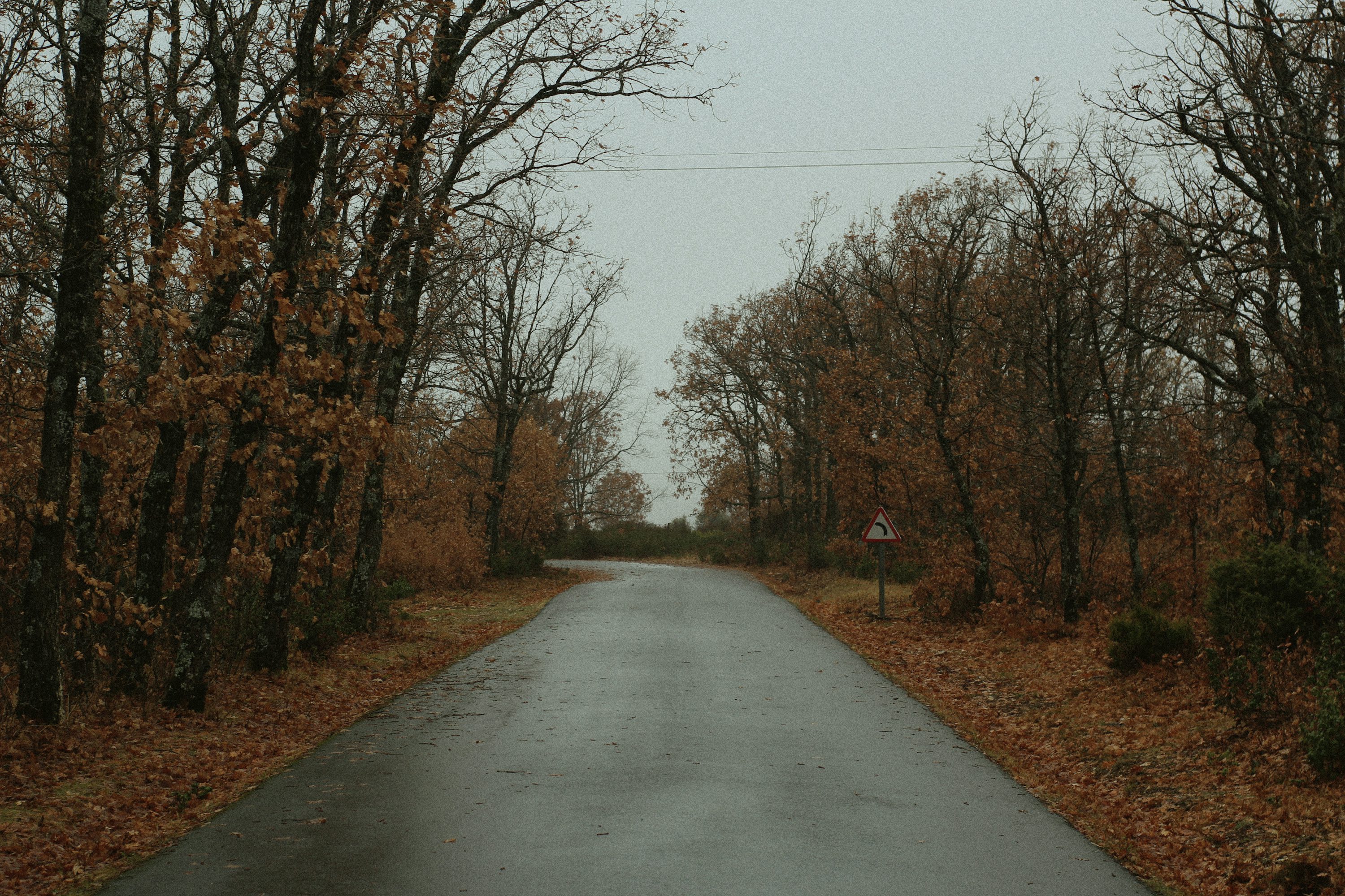 50,Autumn Road Picture. Download
