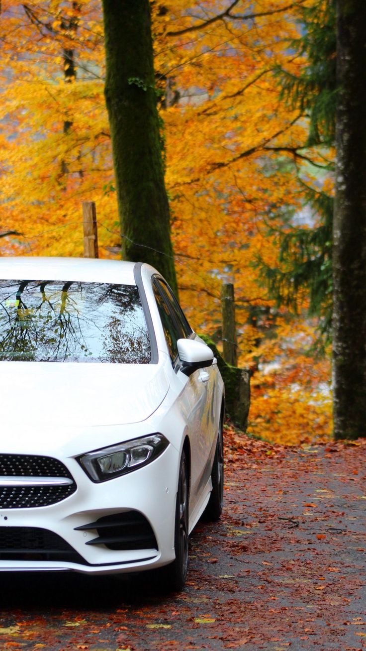 Wallpaper mercedes, car, white, road